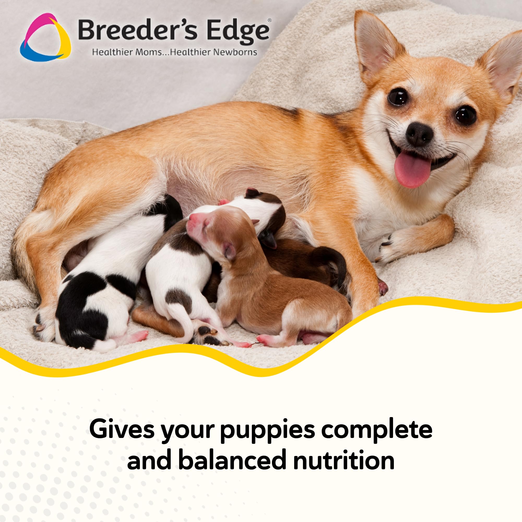 Revival Foster Care for pregnant or nursing dogs in nourishing powder form
