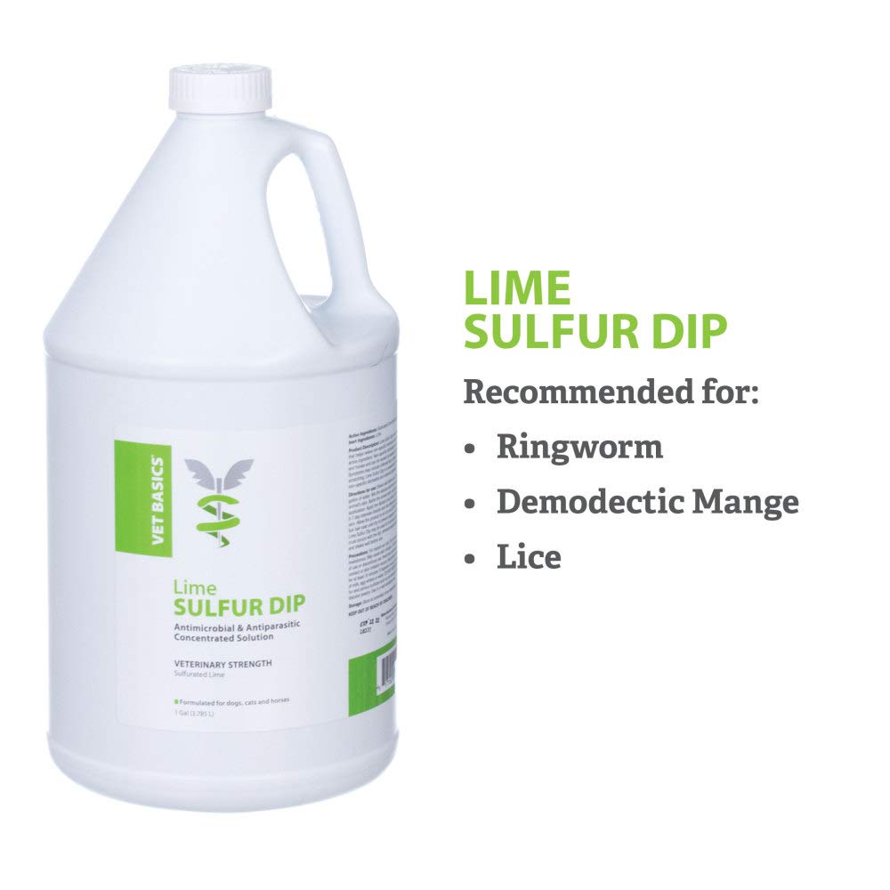 Revival Lime Sulfur Dip professional-use setting with groomer