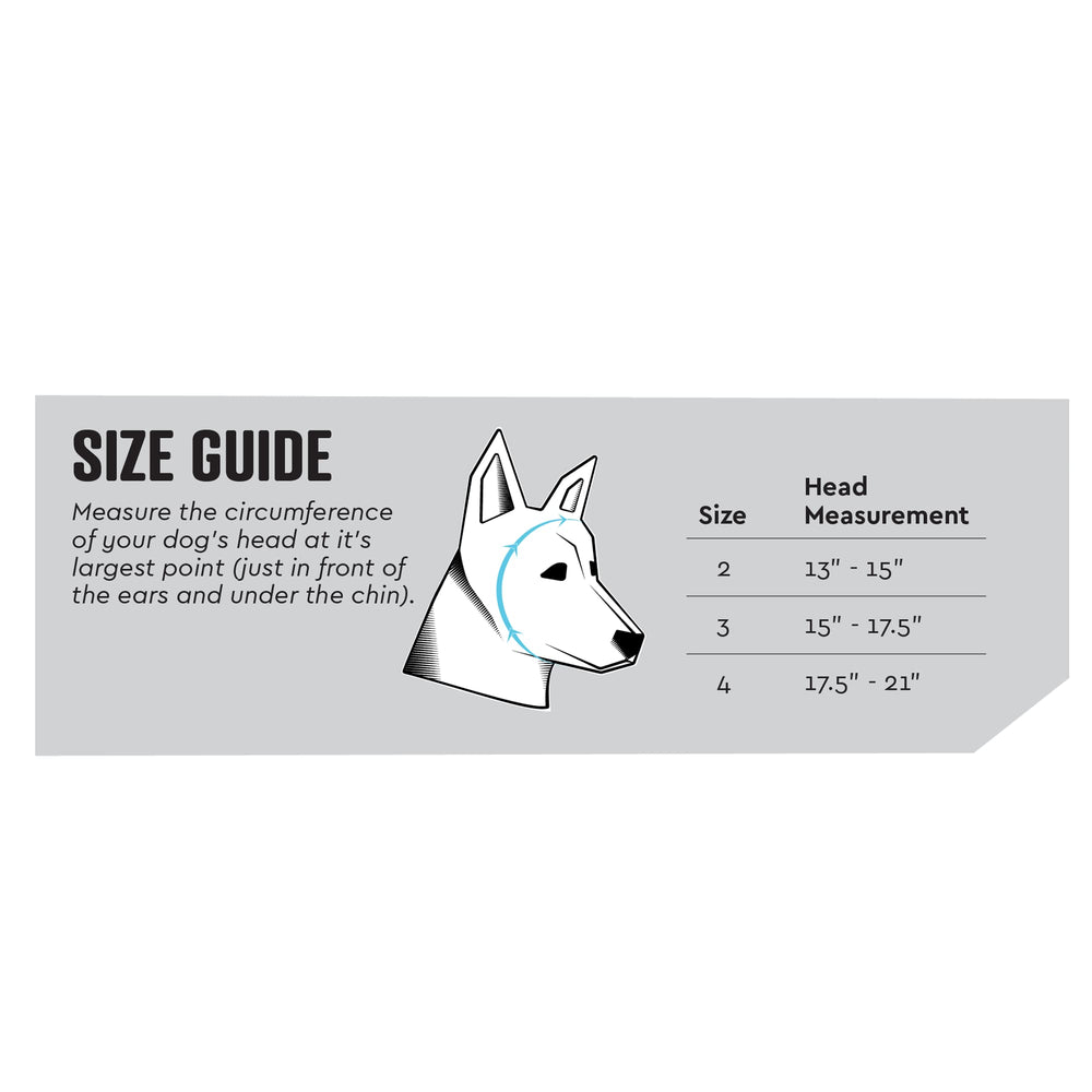 Rex Specs Ear Pro worn by a dog demonstrates calm comfort during loud events.