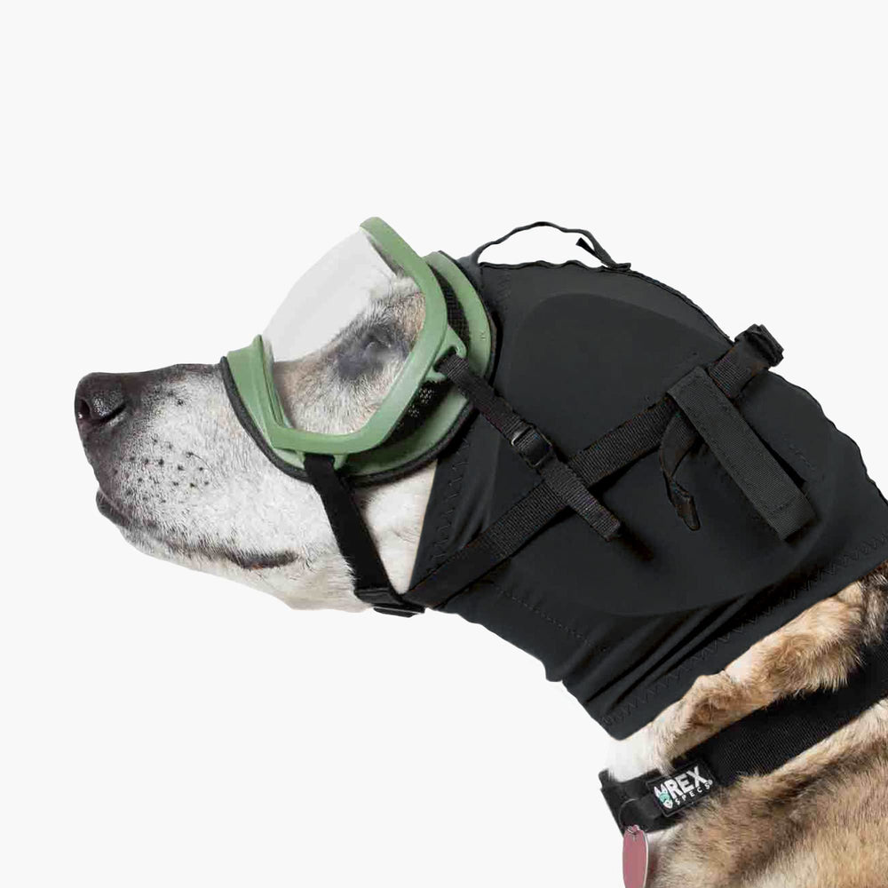 Rex Specs Ear Pro in fireworks use illustrates protective, anxiety-reducing potential.