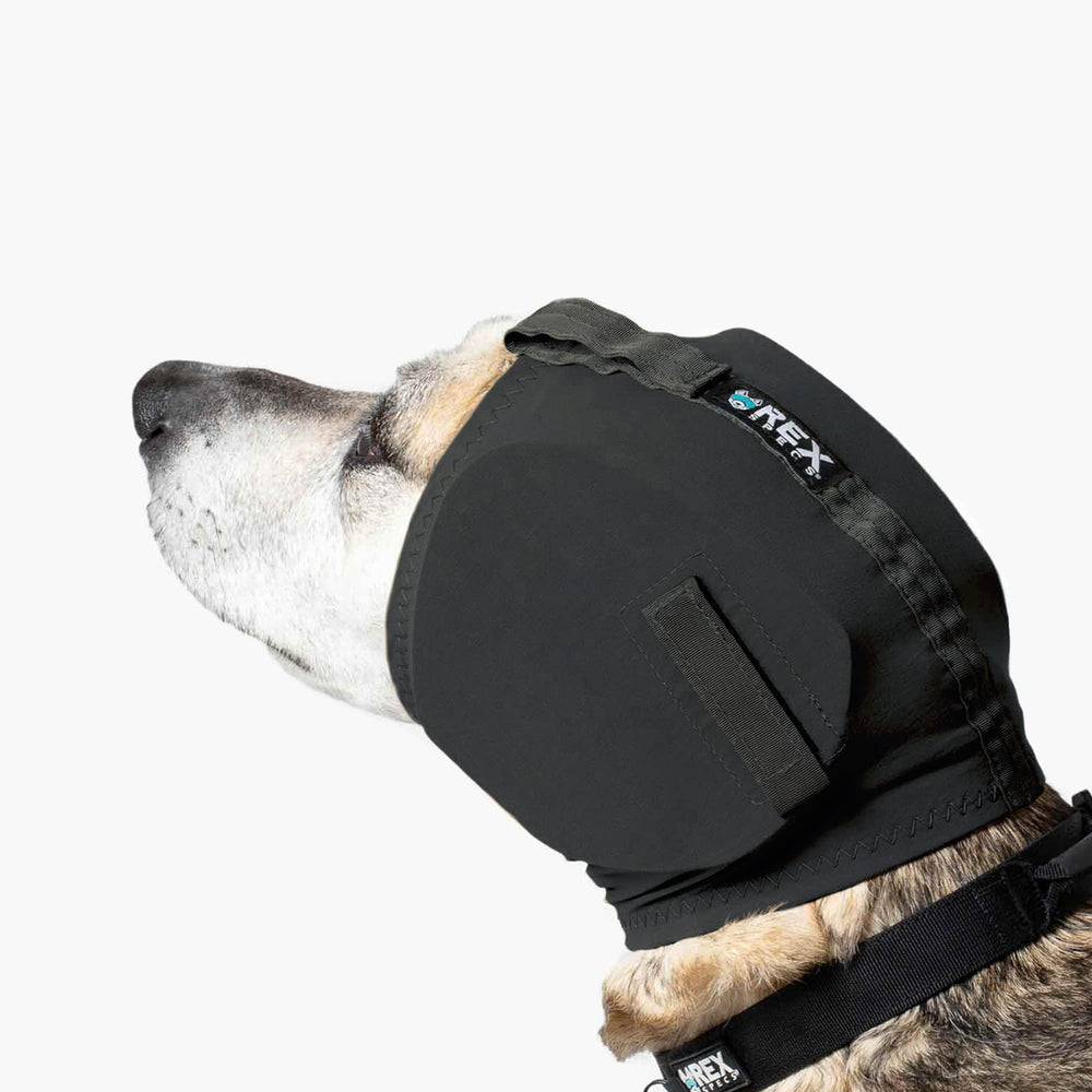 Rex Specs Ear Pro detail reveals noise-cancelling design for focus.