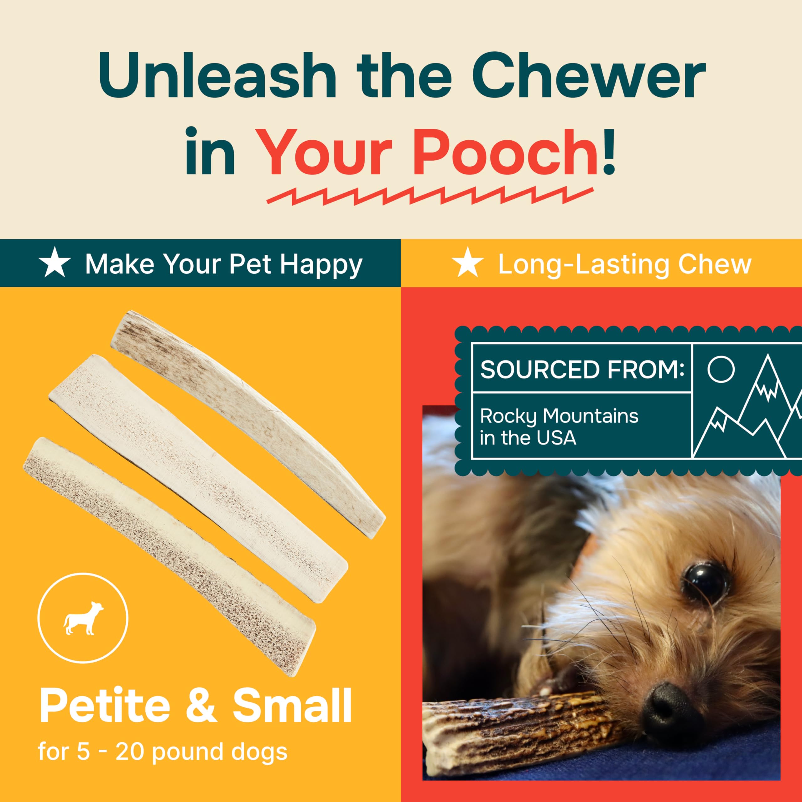 REXIPETS Elk Antler cruelty-free chew sourced naturally from shed antlers
