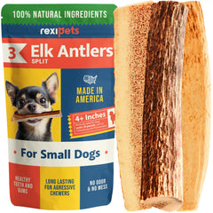 REXIPETS Elk Antler dog chew small for gentle chewers with lasting entertainment