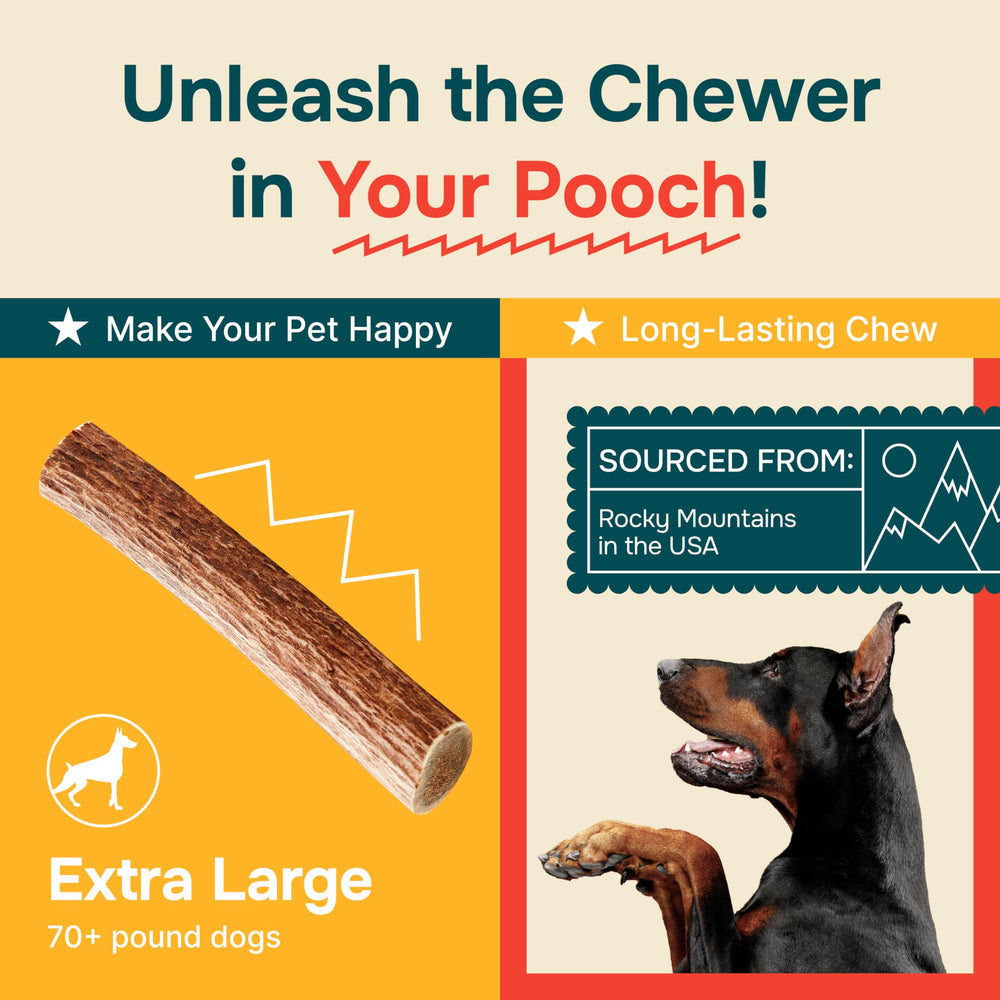 REXIPETS elk antlers natural and cruelty-free without artificial additives.