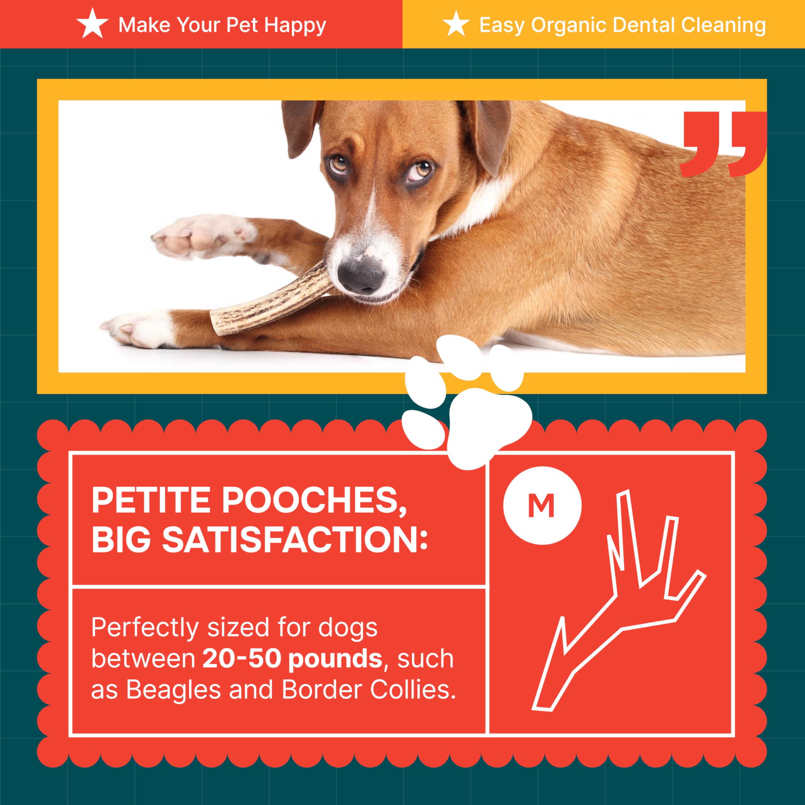 REXIPETS elk-antlers packaging; naturally shed and chemical-free dog treats.