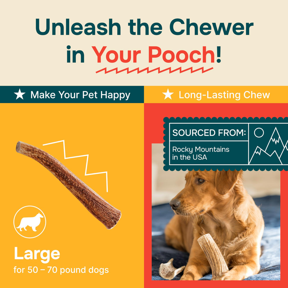 REXIPETS elk antlers cruelty-free naturally shed odor-free chew.