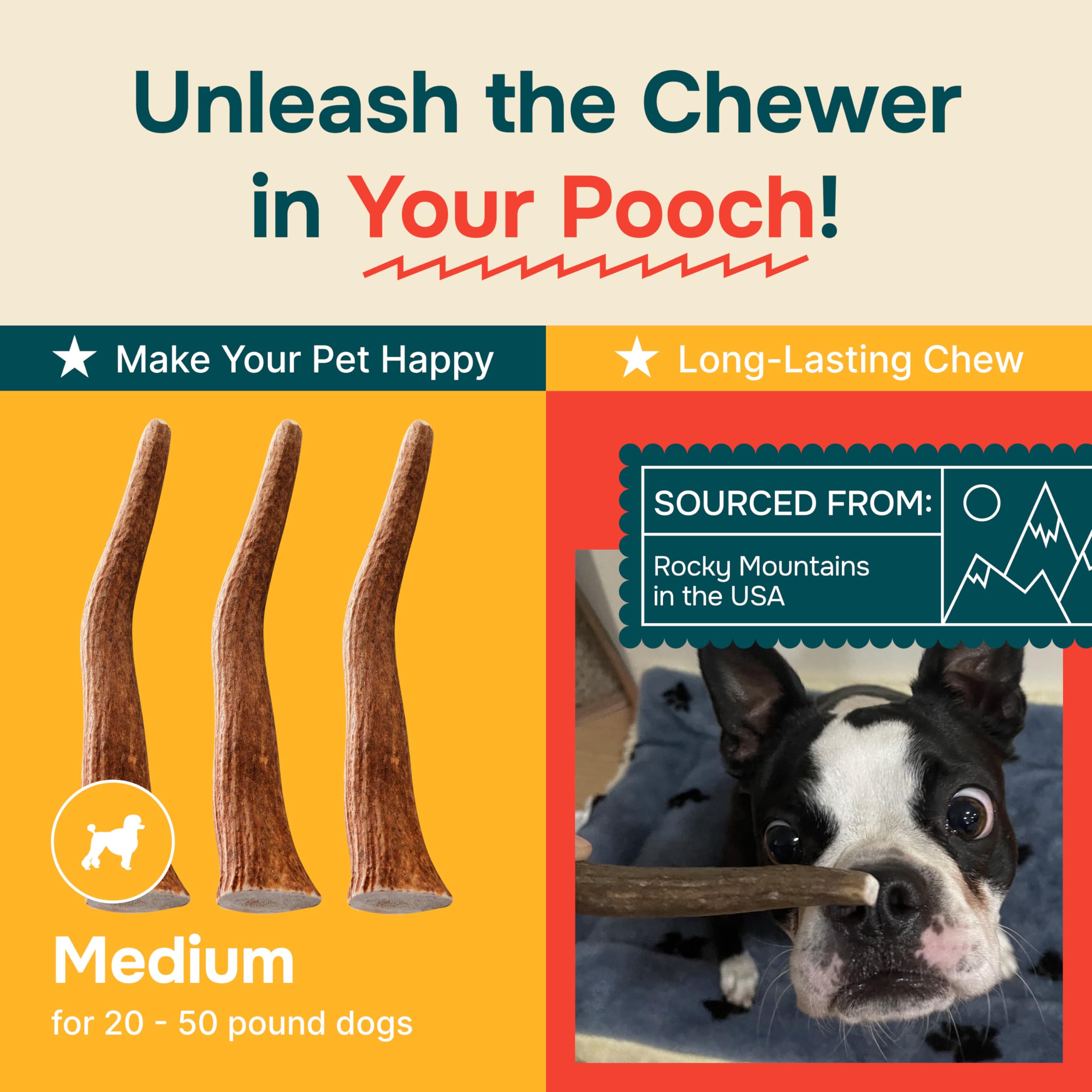 REXIPETS elk-antlers medium-dog sizes shown; fits medium breeds well.