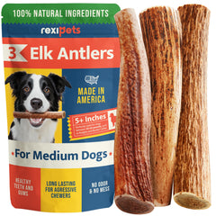 REXIPETS elk antlers pack-3 for dogs; durable chew for aggressive chewers.