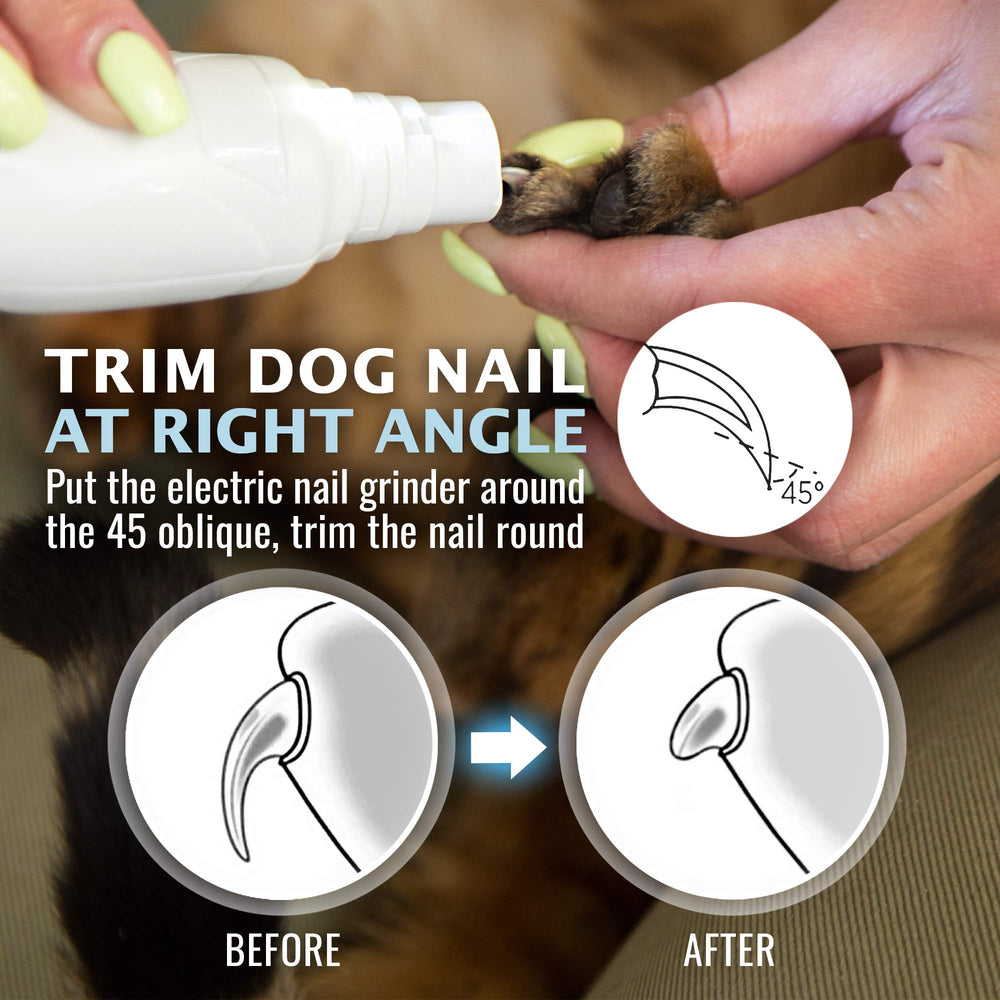 REXIPETS nail grinder small-port targets tiny nails with control