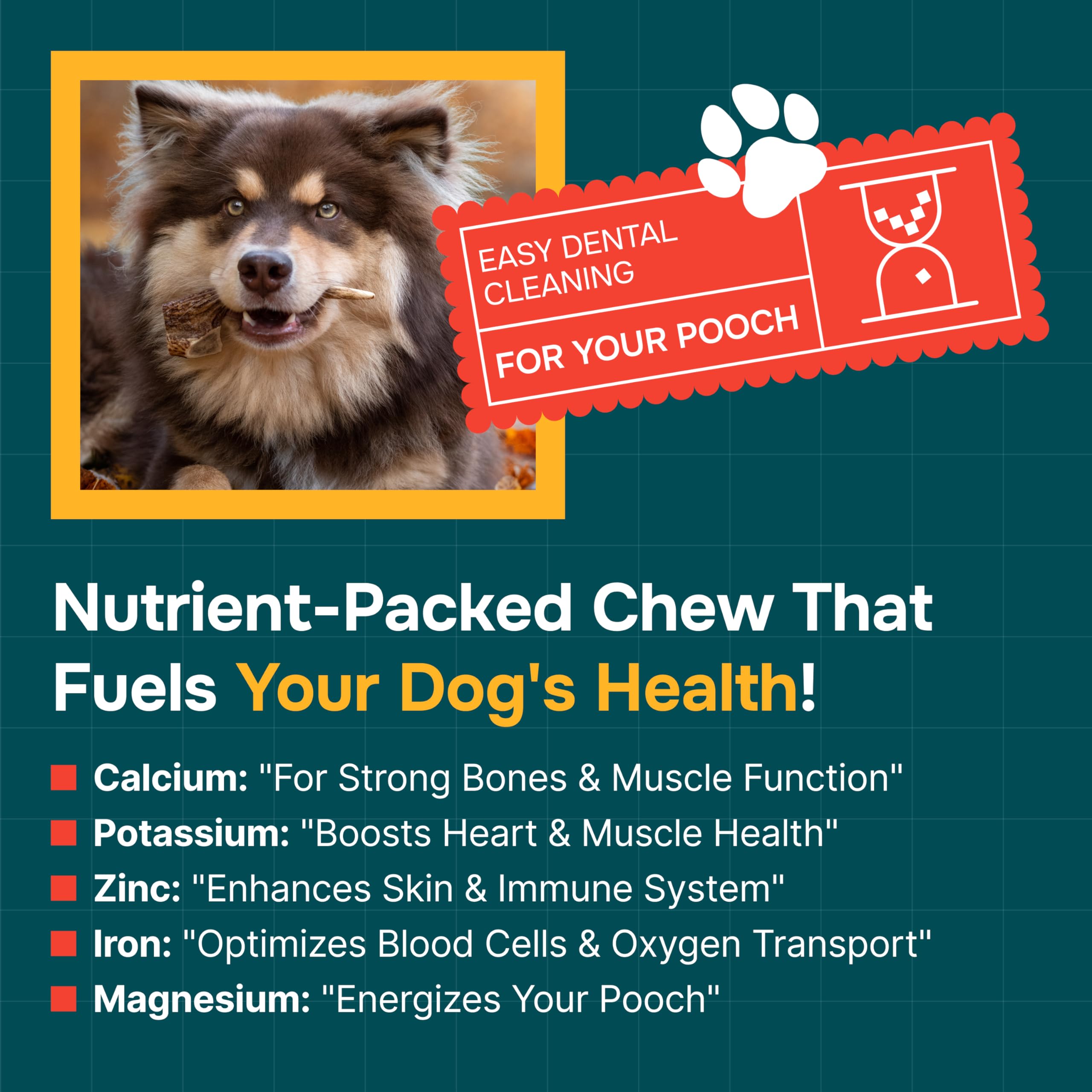 REXIPETS elk-antler closeup showing natural texture and nutrient-rich chew for dogs.