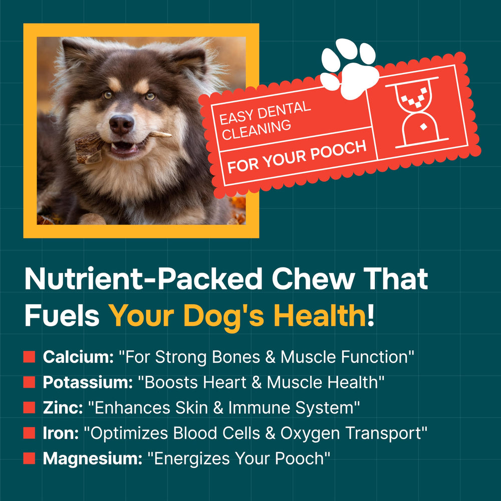 REXIPETS elk-antler closeup showing natural texture and nutrient-rich chew for dogs.