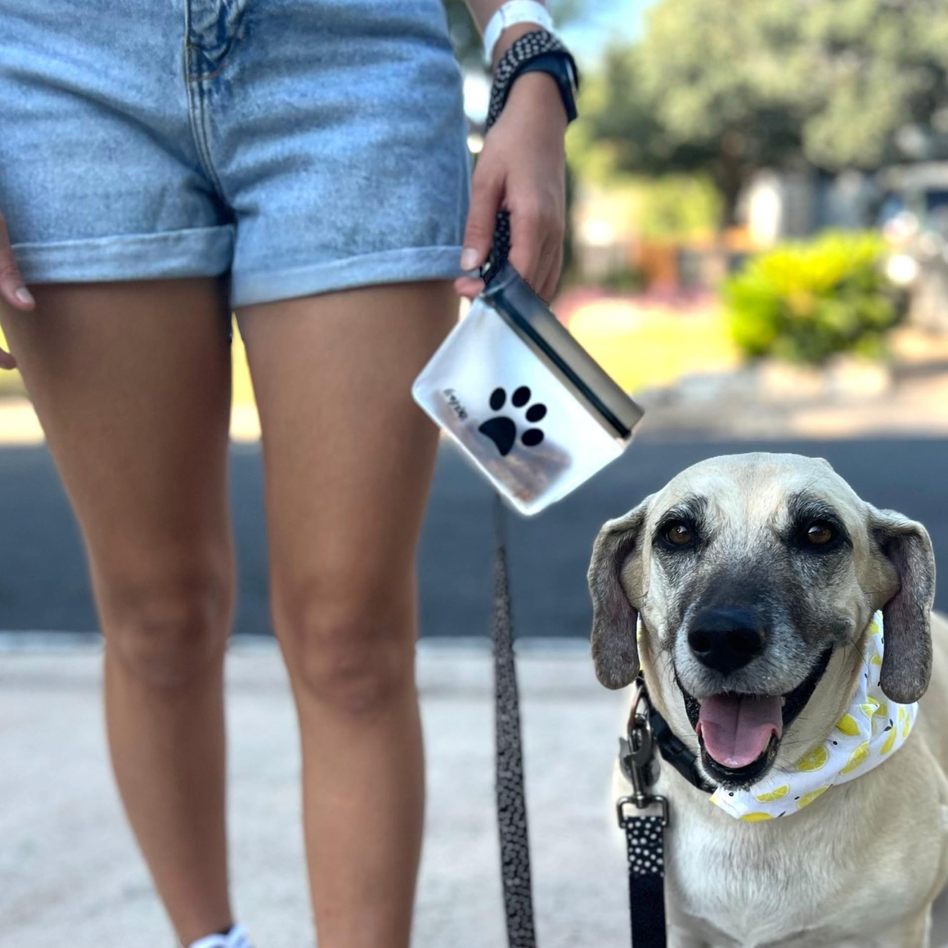 Rezip Pet On-The-Go Bags travel-use lightweight, water-resistant storage for treats and small toys on trips.