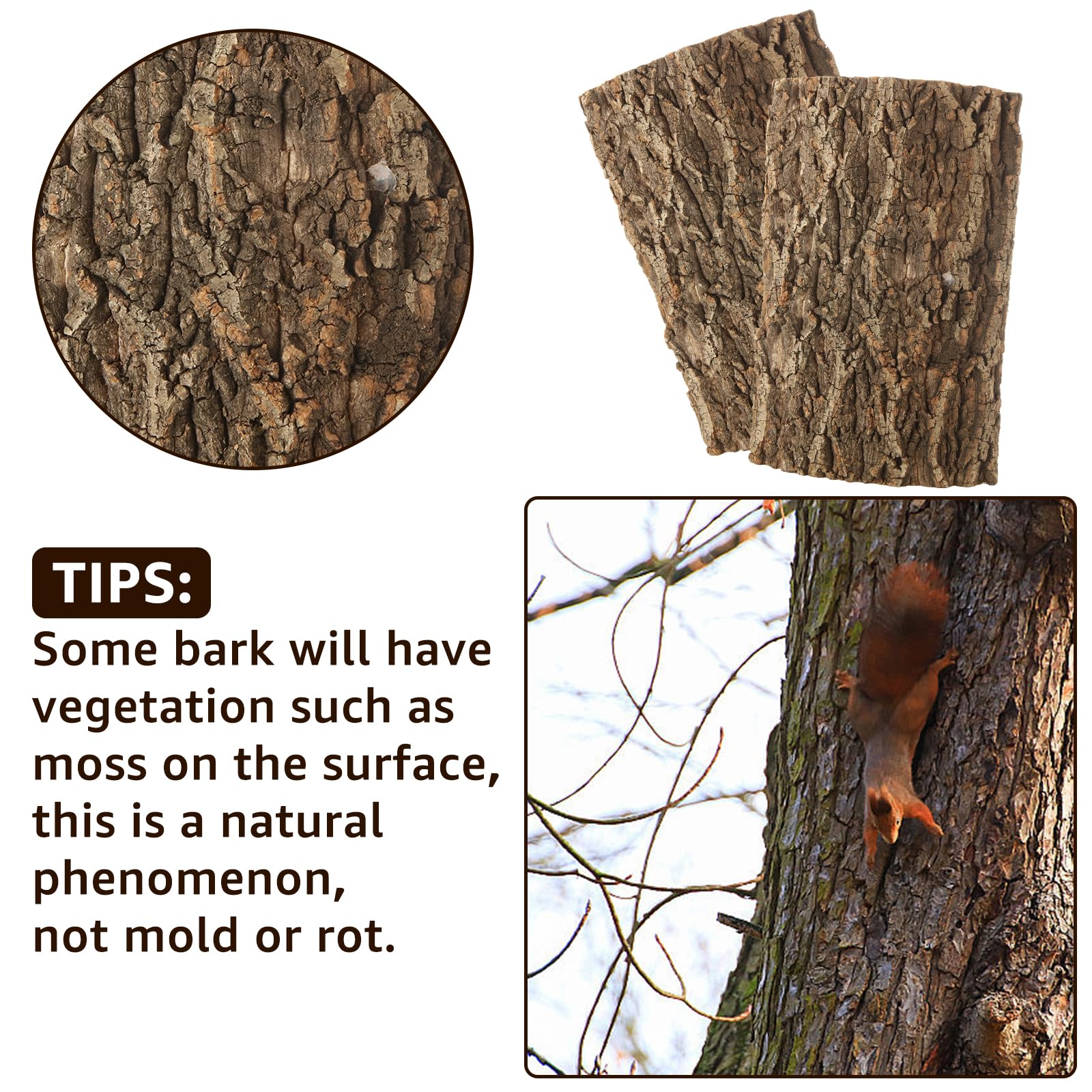 RHBLME cork bark 4-pack flexible-fit makes it easy to tailor layouts