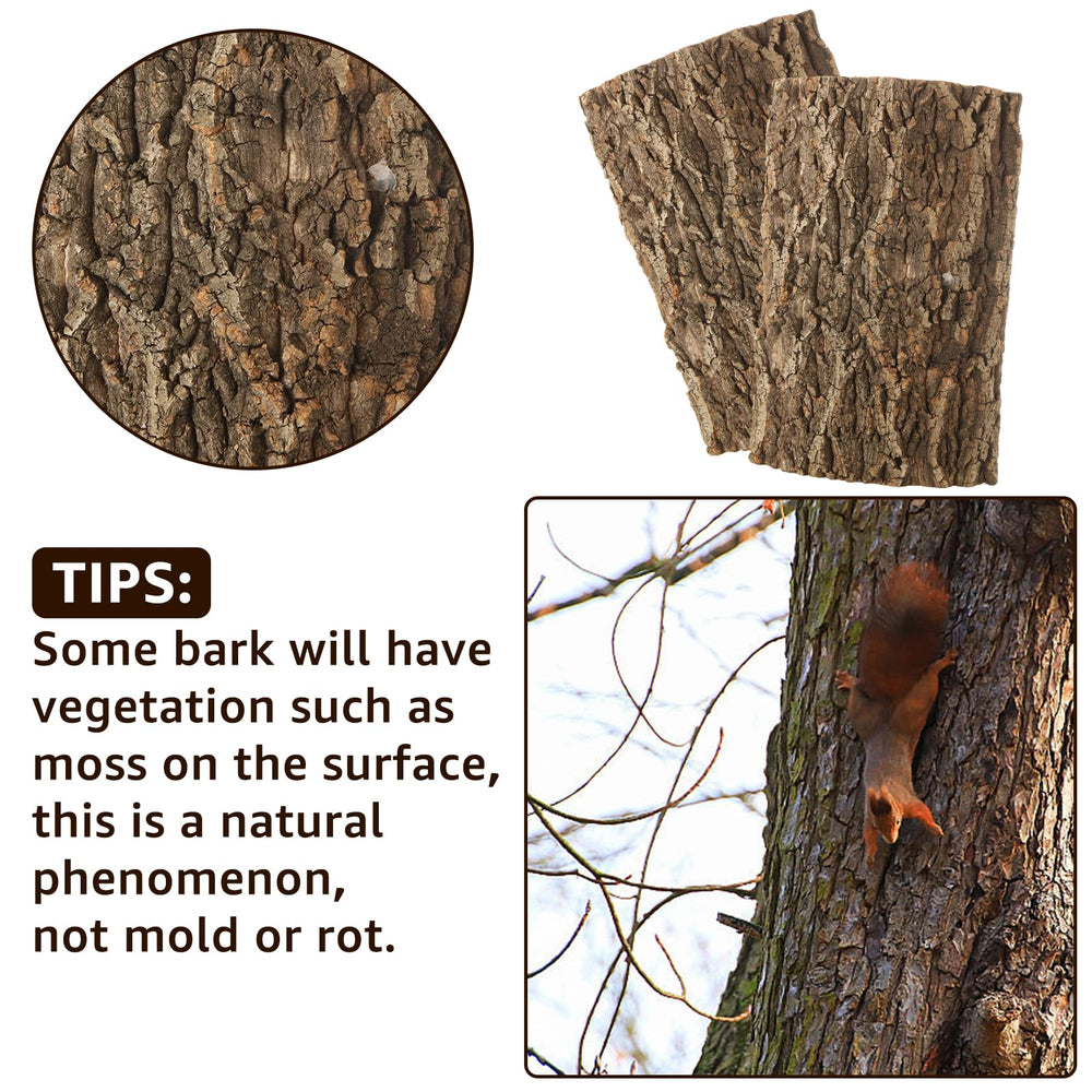 RHBLME cork bark 4-pack flexible-fit makes it easy to tailor layouts