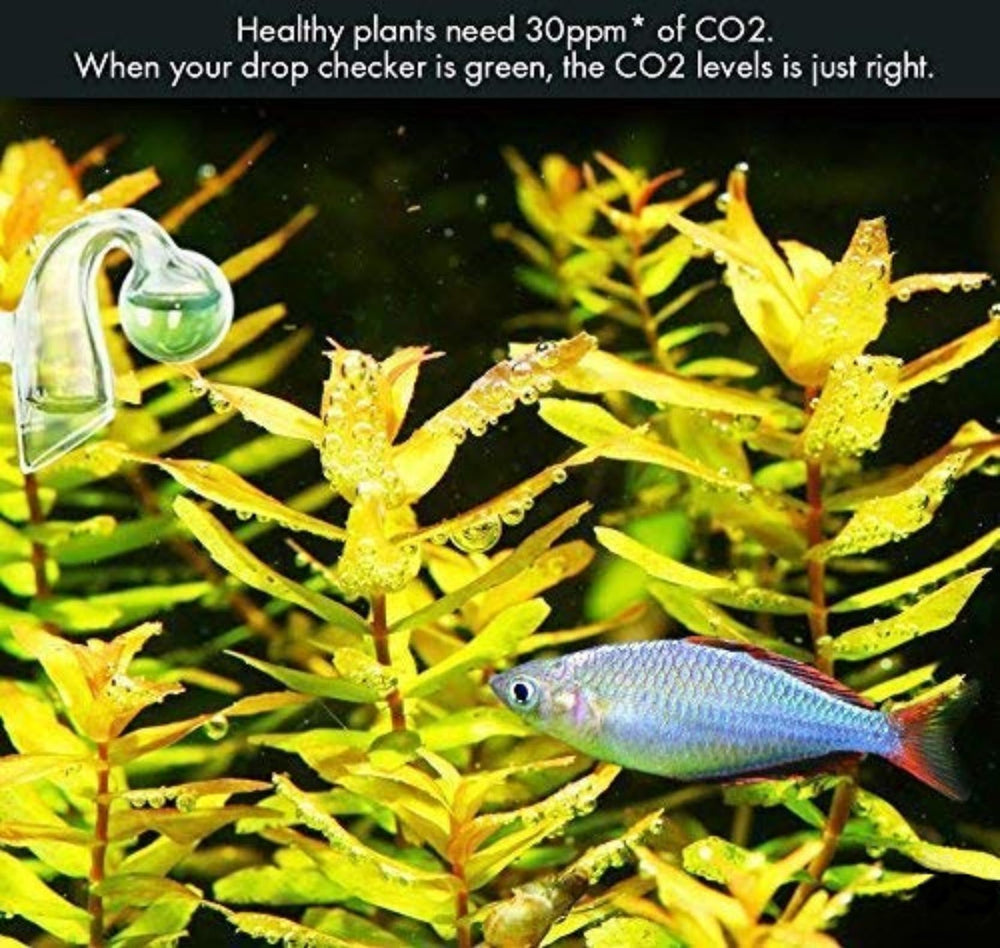 Rhinox Glass Drop Checker Kit installed in-tank provides continuous visualization.