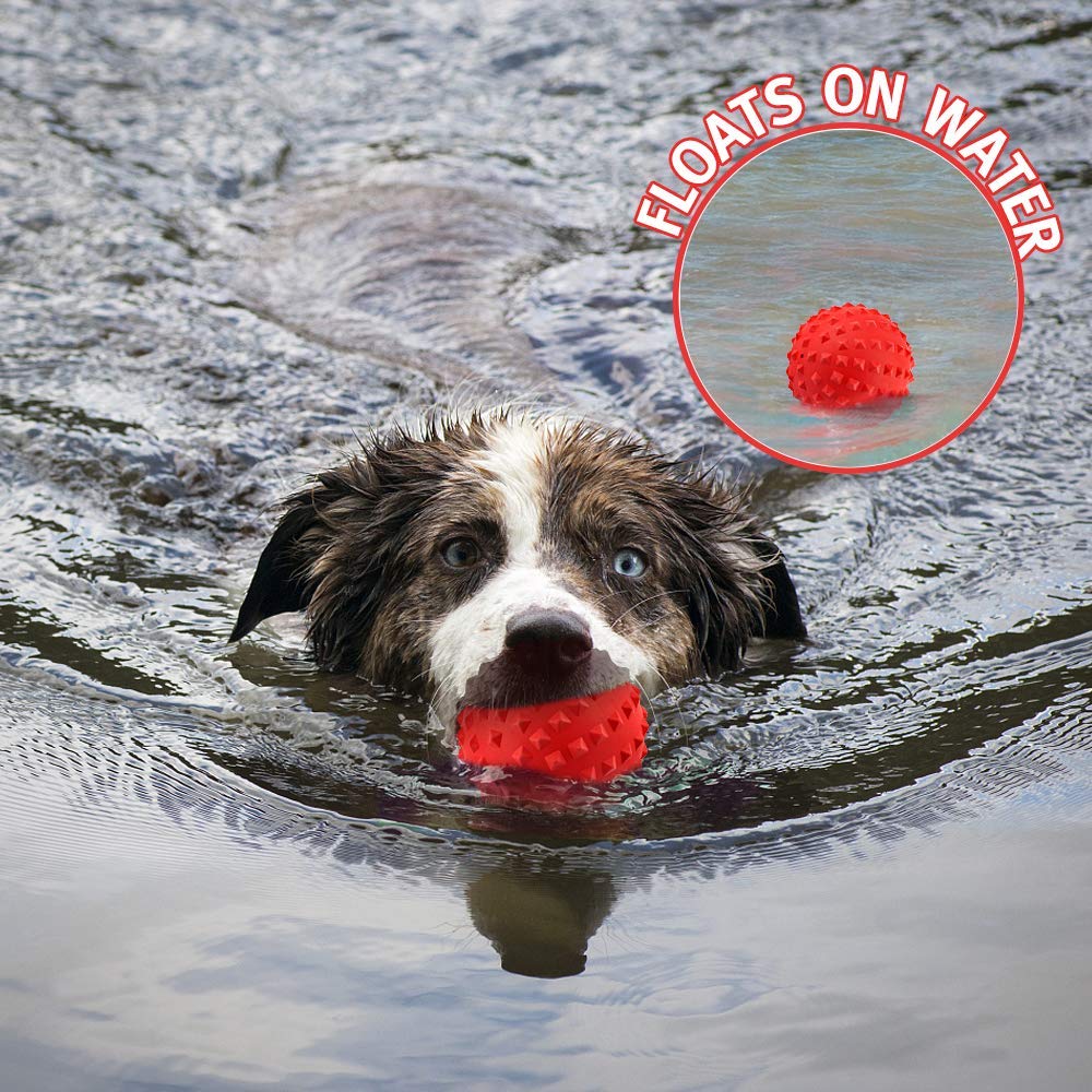 RHL dog squeaky toy aggressive-chewers durable natural rubber for tough chewers.