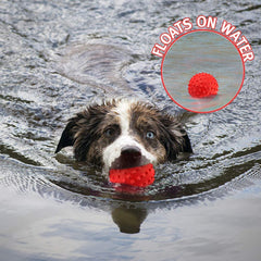 RHL dog squeaky toy aggressive-chewers durable natural rubber for tough chewers.