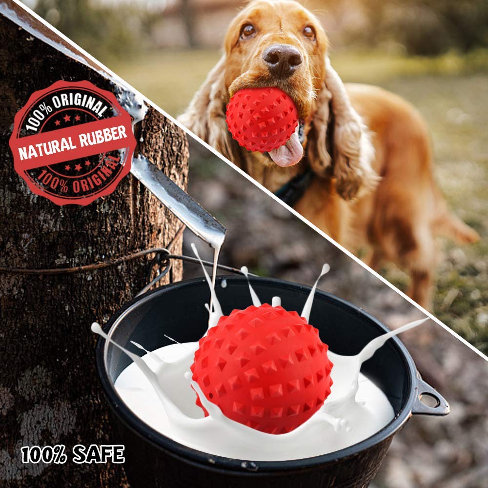 RHL dog squeaky toy beef-flavored center encourages chewing with real aroma.