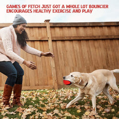 RHL dog squeaky toy large-ball for aggressive chewers during fetch.