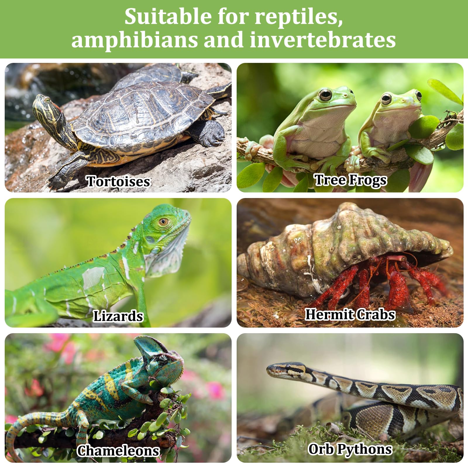 Riare pellets suitable for garden disposal after terrarium use