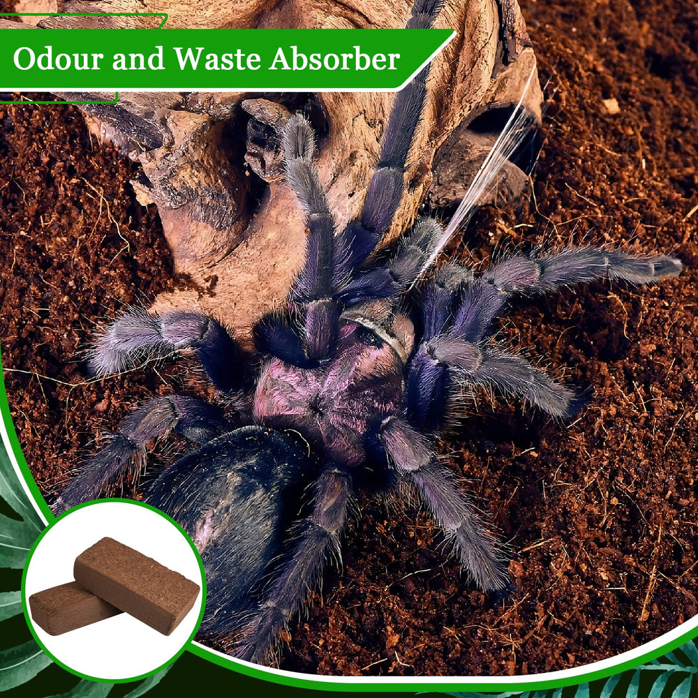 Riare burrowing-animals setup featuring fluffy substrate for natural digging.