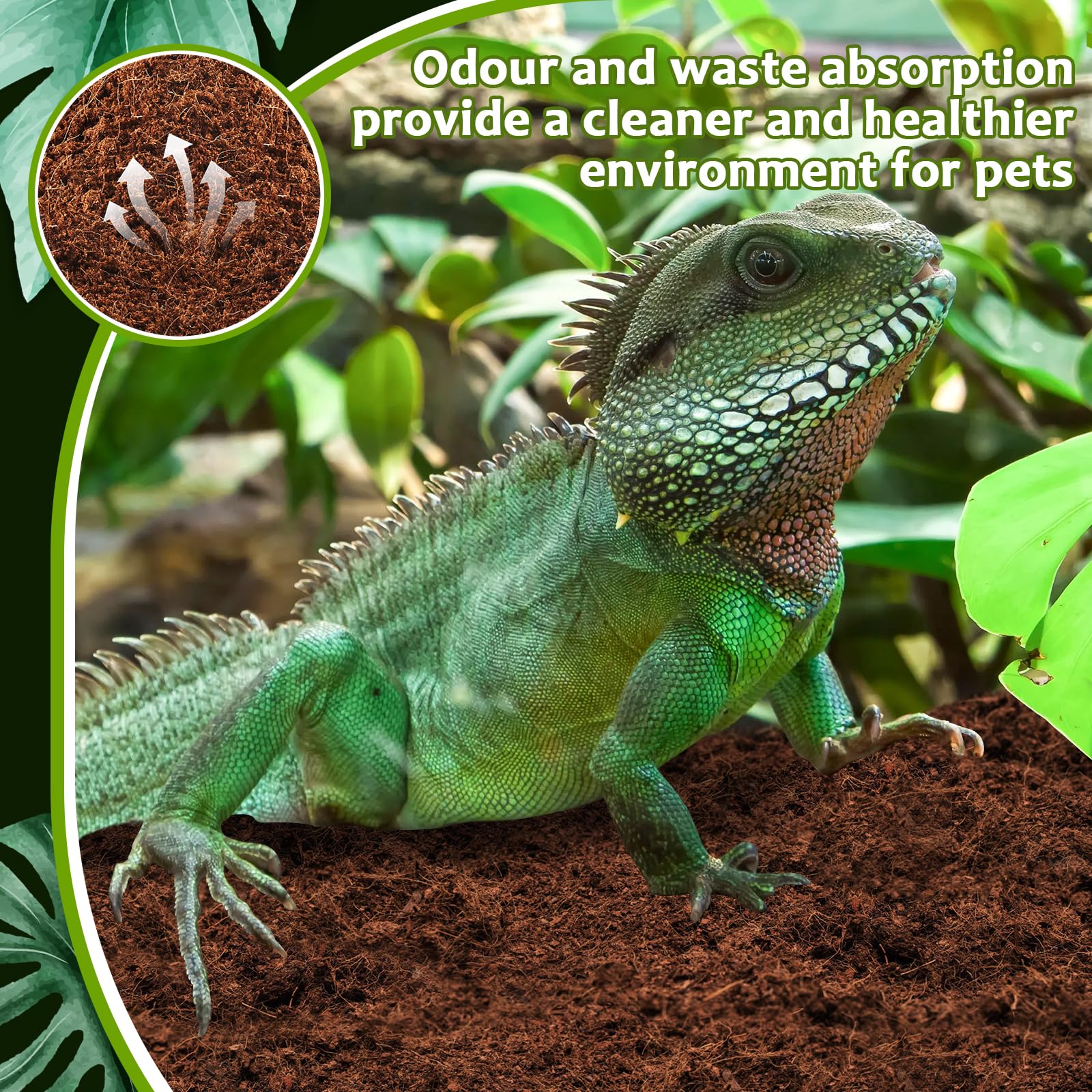 Riare burrowing-friendly bedding supports natural digging and comfortable habitats