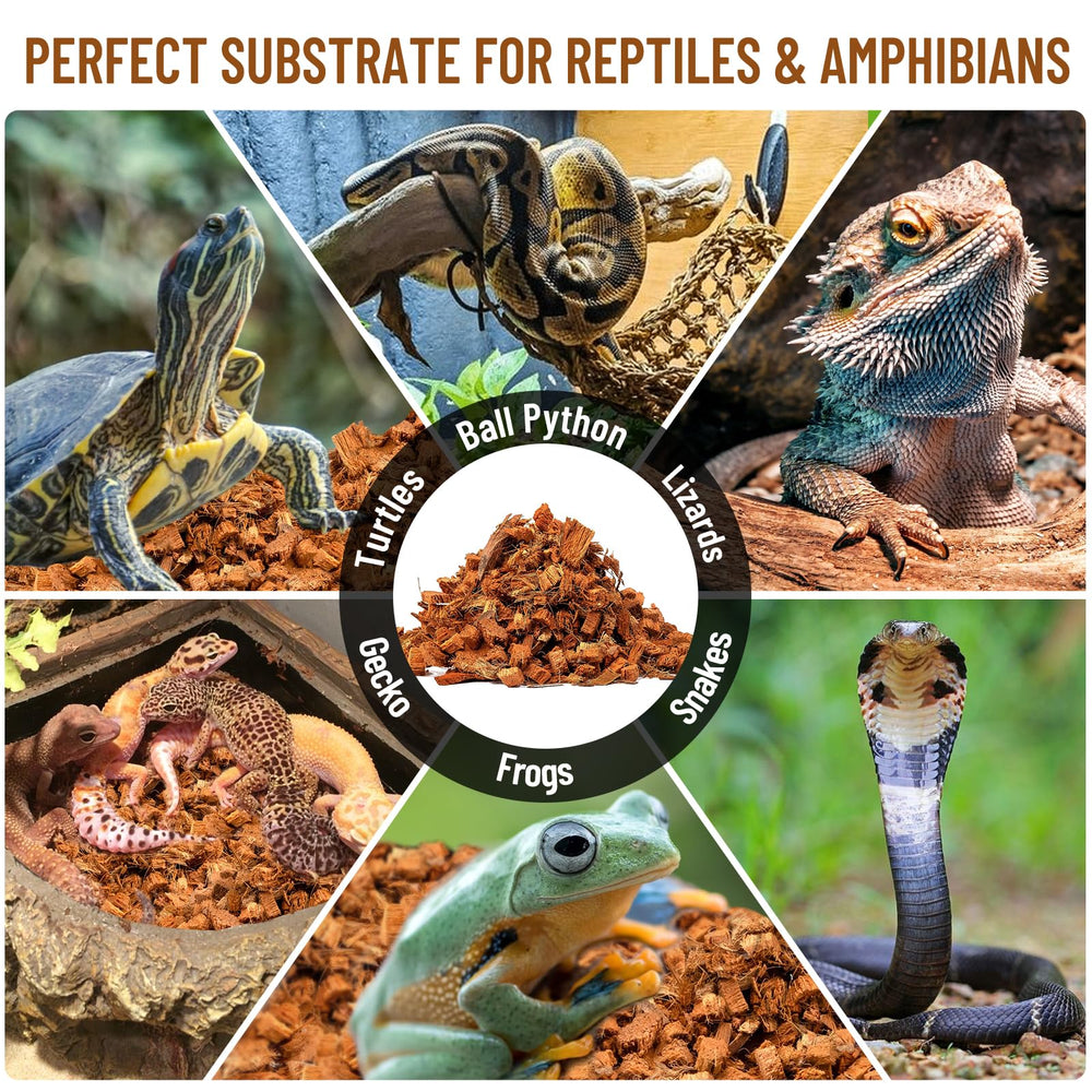 Riare coconut chip substrate easy to use and biodegradable for eco-friendly disposal