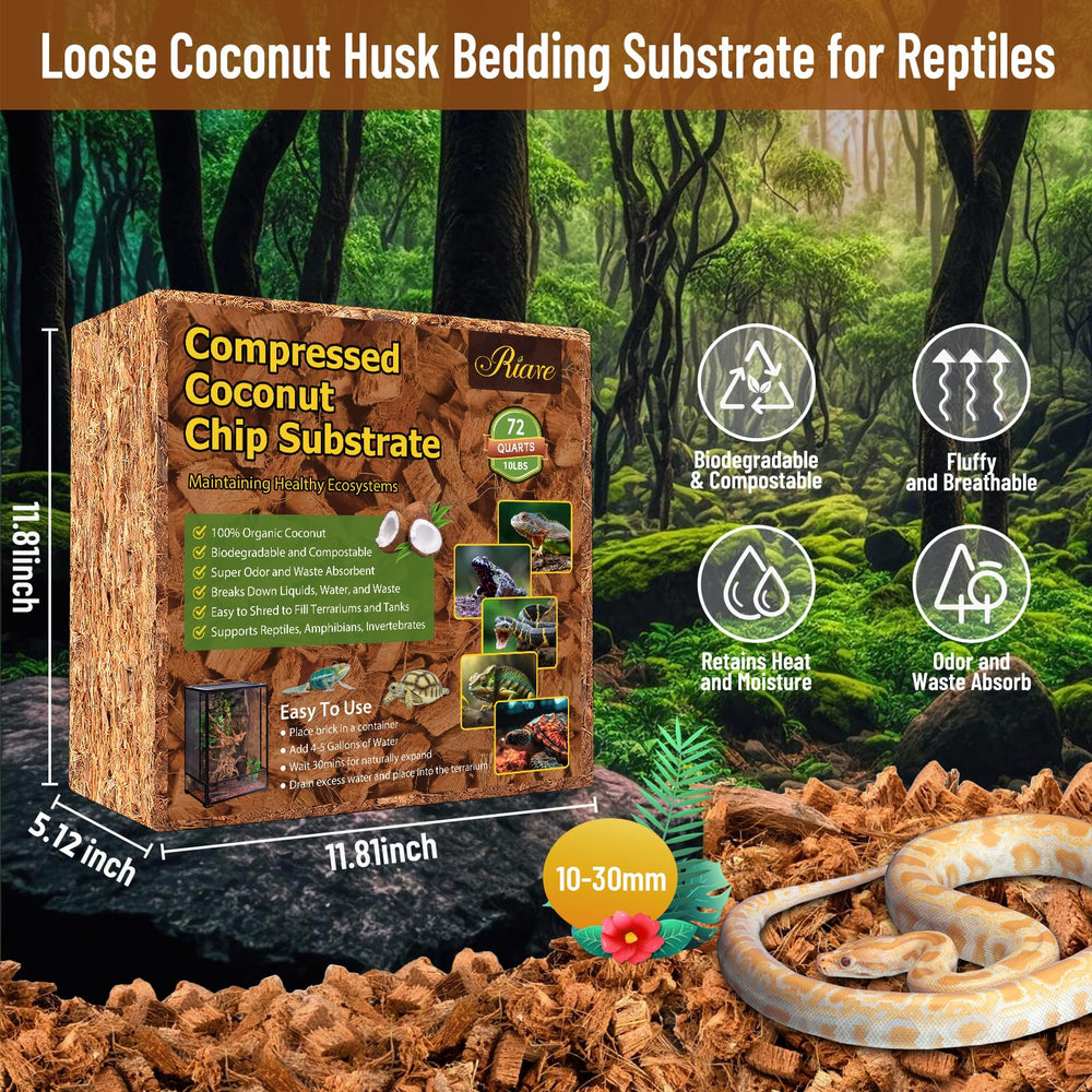 Riare coconut chip substrate expands after water to cover terrarium