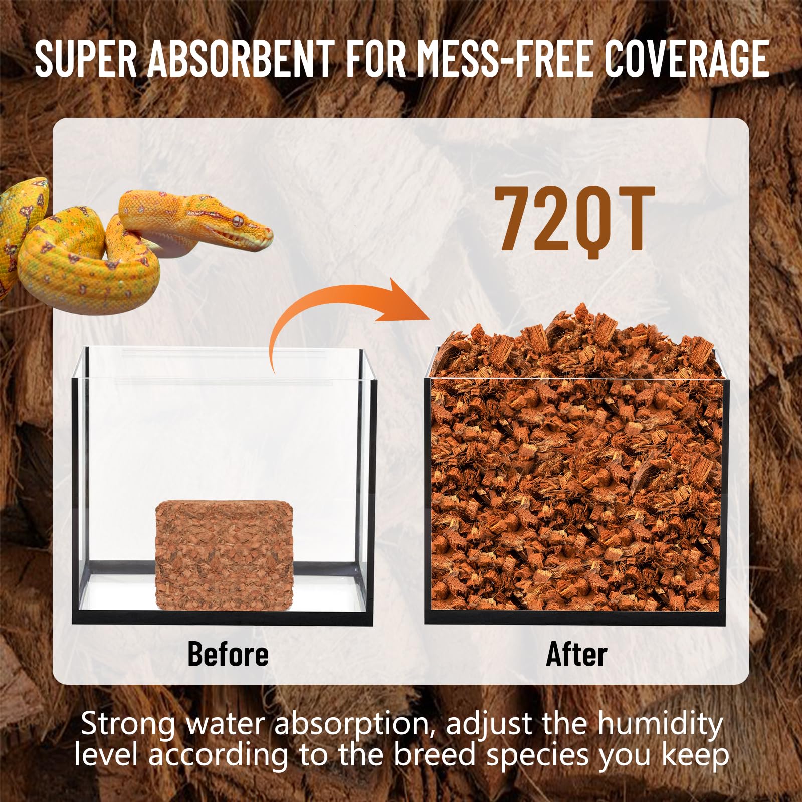 Riare coconut chip substrate absorbs odors for a cleaner terrarium