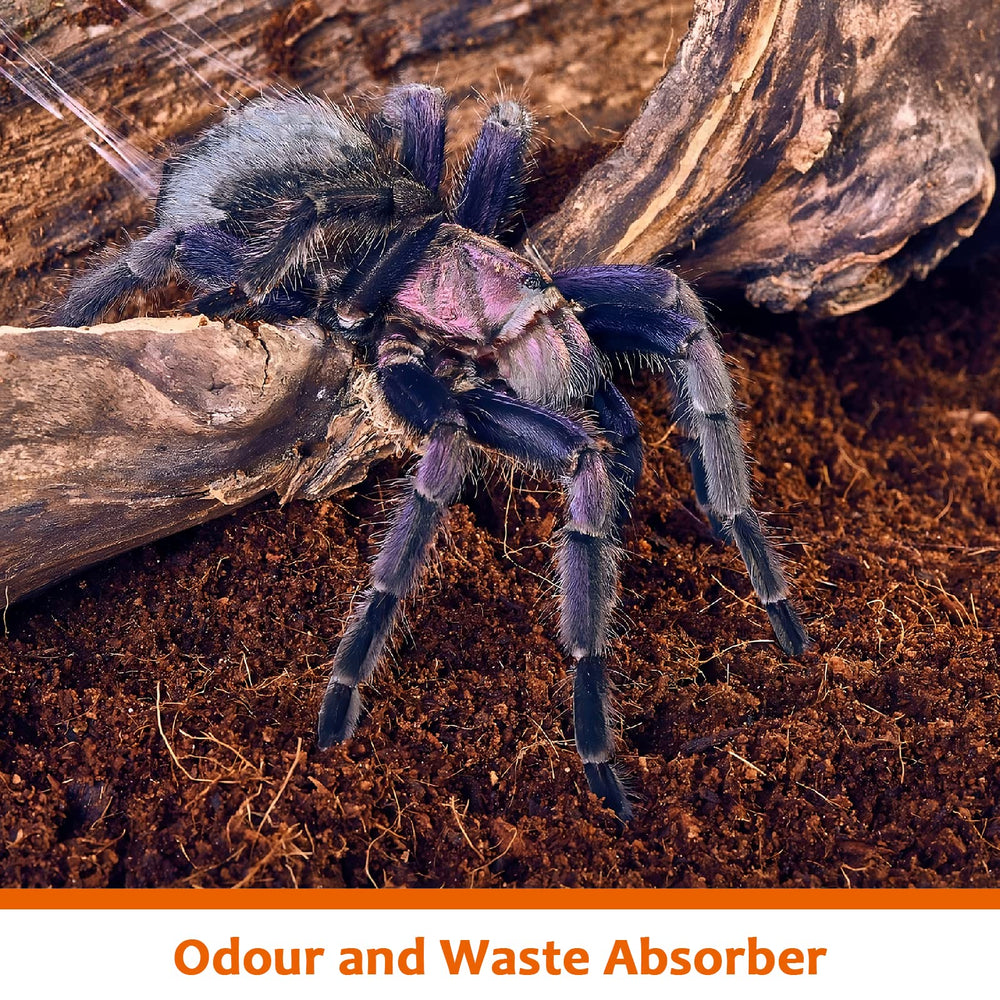 Riare coconut fiber brick packaging, compact for easy storage.