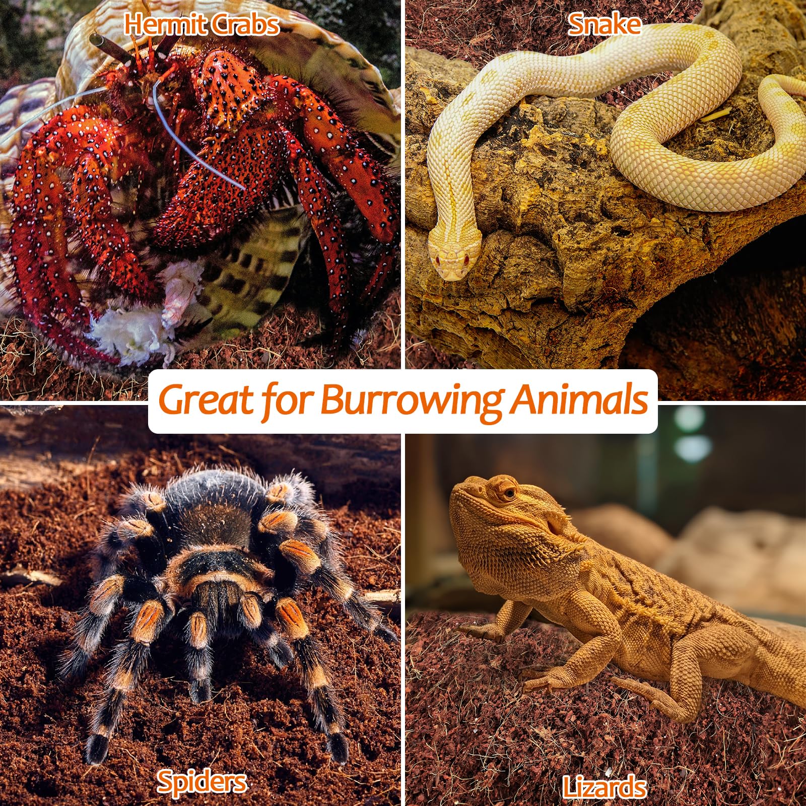 Riare coconut fiber substrate after hydration, expands into airy mulch for moisture retention.