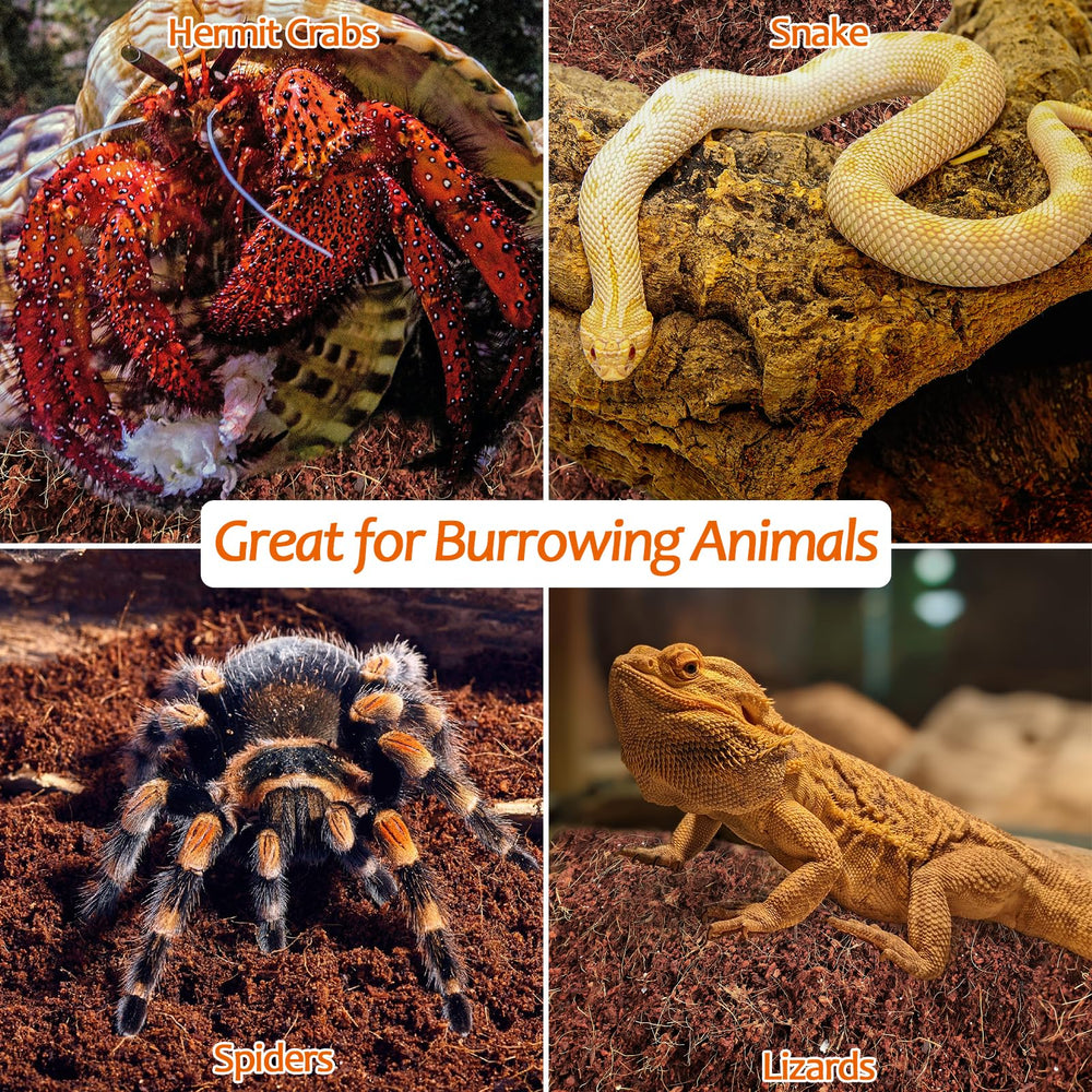 Riare coconut fiber substrate after hydration, expands into airy mulch for moisture retention.