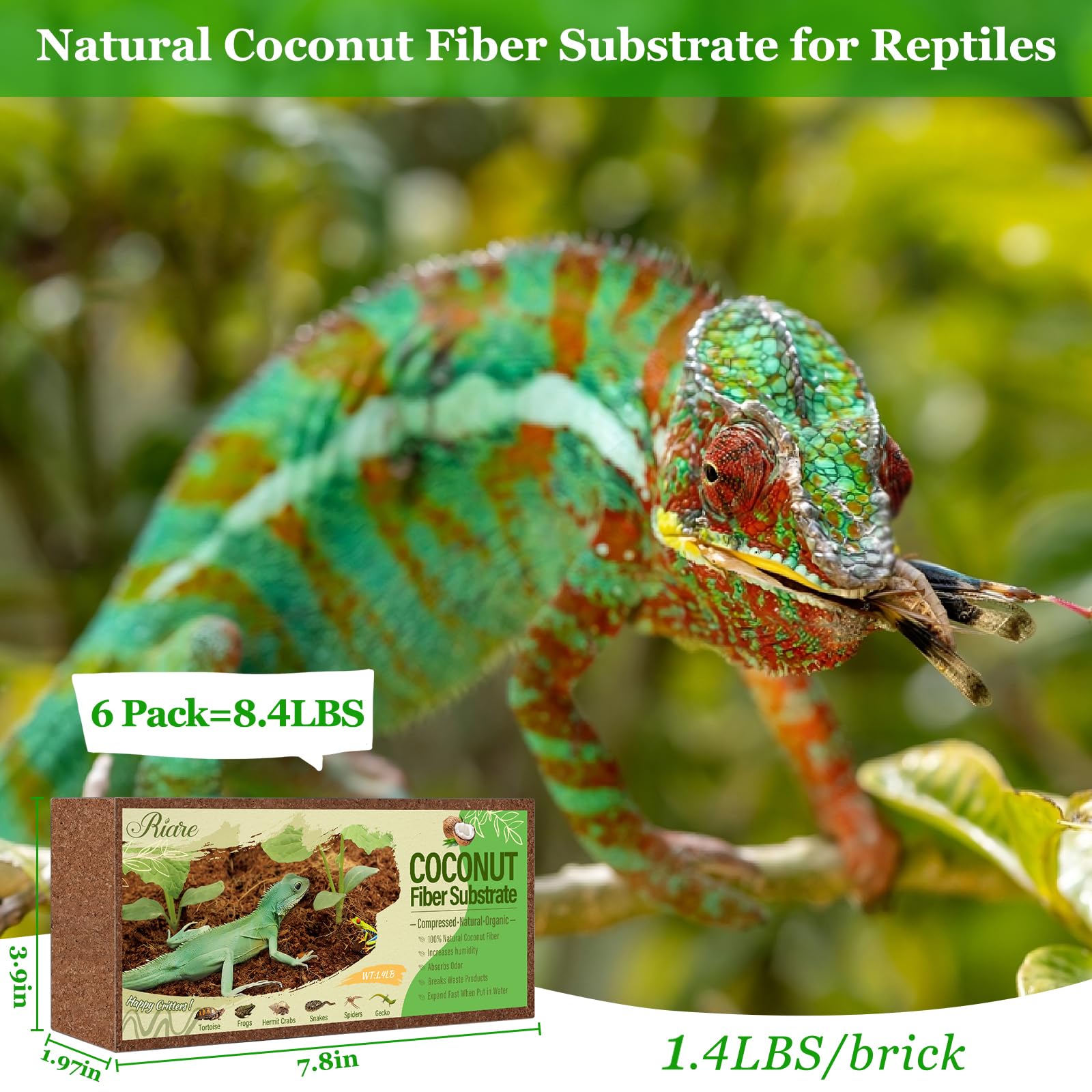 Riare coconut fiber substrate expanded in water ready terrarium bedding for burrowing activity.