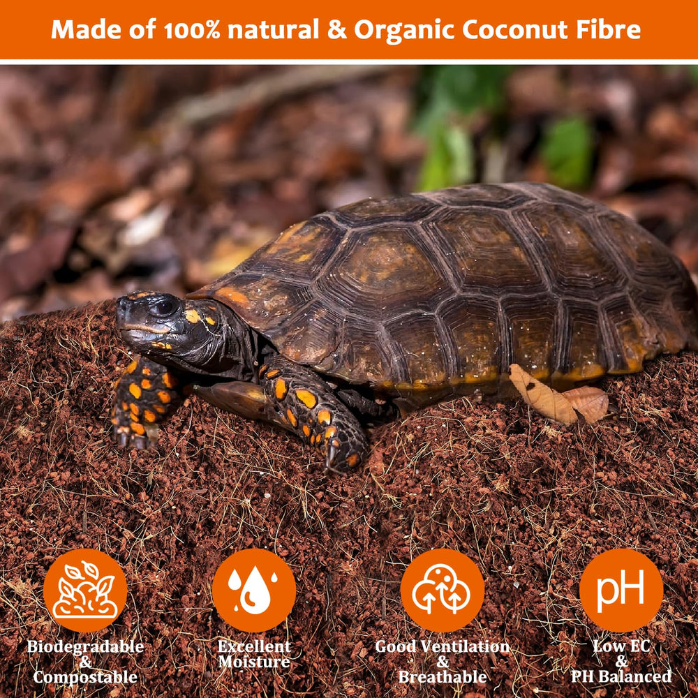 Riare coconut fiber substrate in terrarium, soft and breathable bedding.