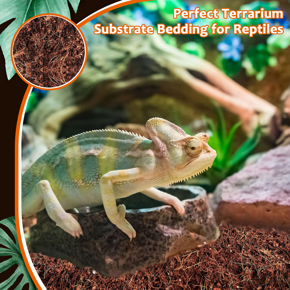 Riare substrate in terrarium, versatile bedding for burrowing animals.