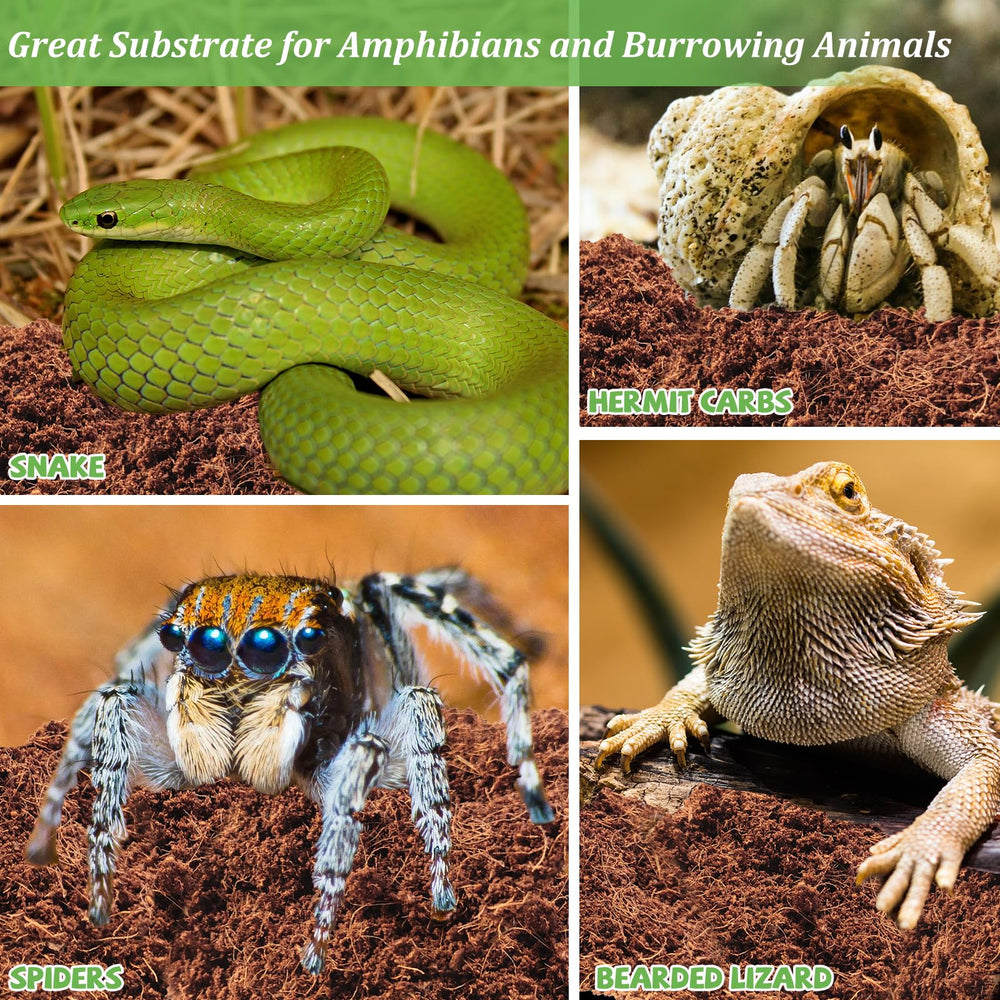 Riare compostable coconut fiber substrate supports eco-friendly disposal.