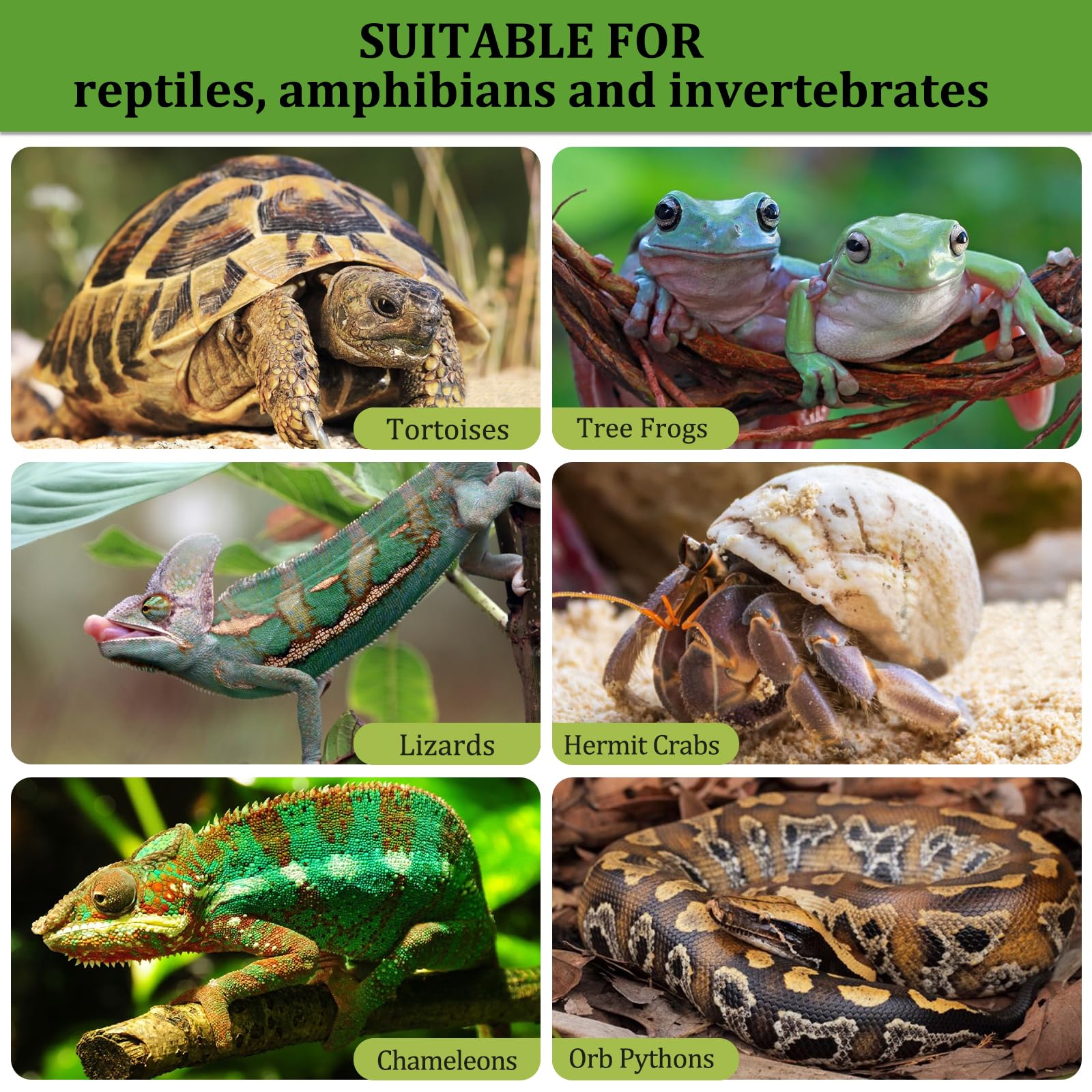 Riare easy-clean reusable substrate shown after rinsing for reuse in vivariums.