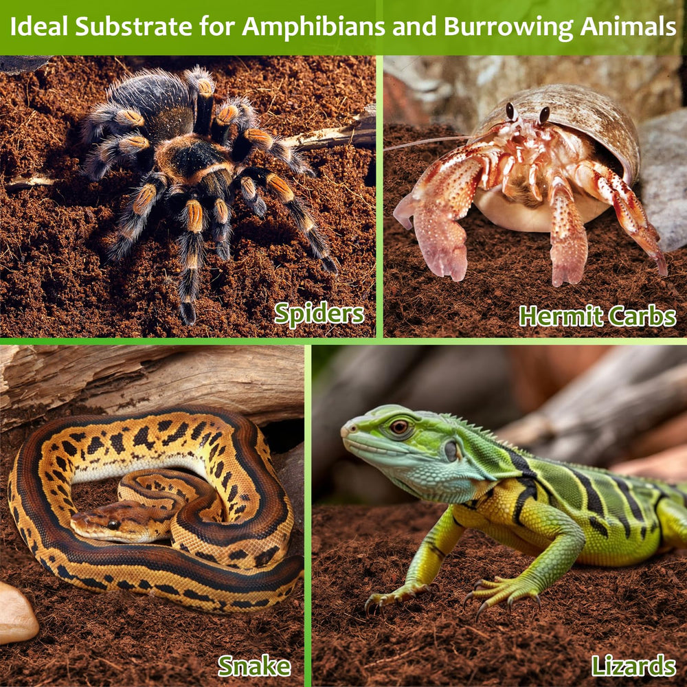 Riare easy-use coco bricks soak quickly to fluffy bedding for terrariums