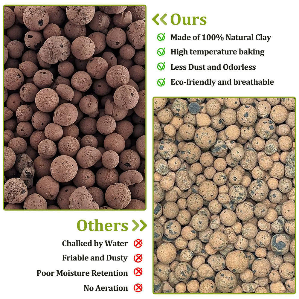 Riare false-bottom base supports terrarium moisture retention and plant roots.