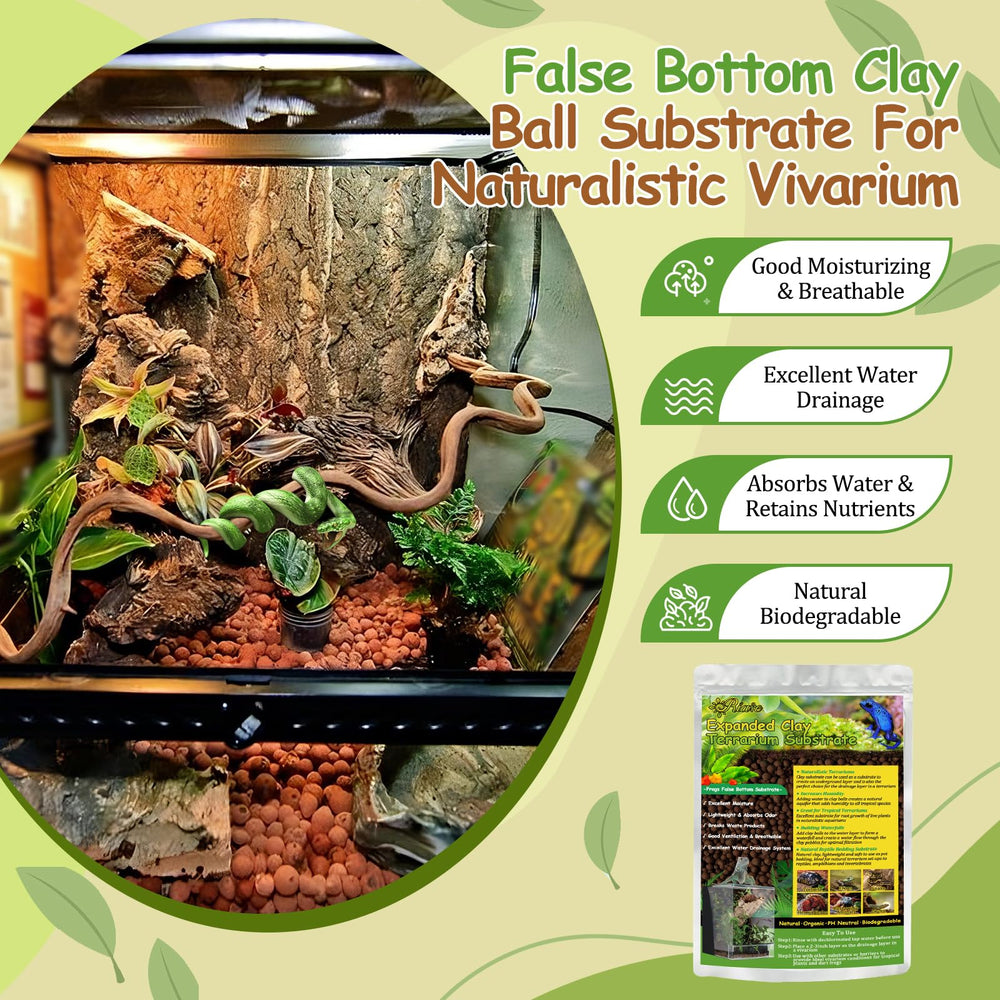 Riare false bottom terrarium setup using clay balls to retain moisture.