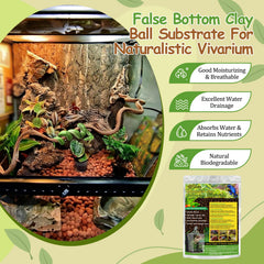 Riare false bottom terrarium setup using clay balls to retain moisture.