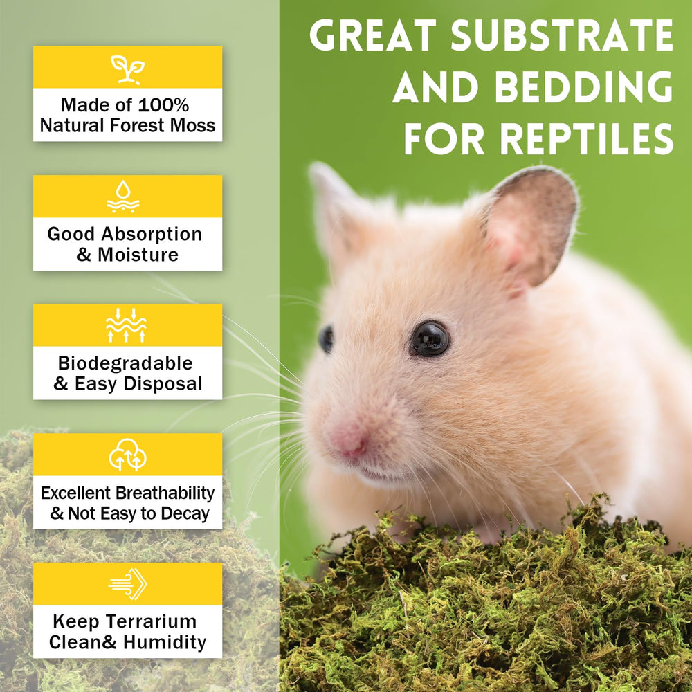 Riare green sphagnum moss absorbs moisture and odors in reptile enclosure