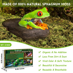 Riare live moss for terrarium habitat—enhances humidity and natural look.