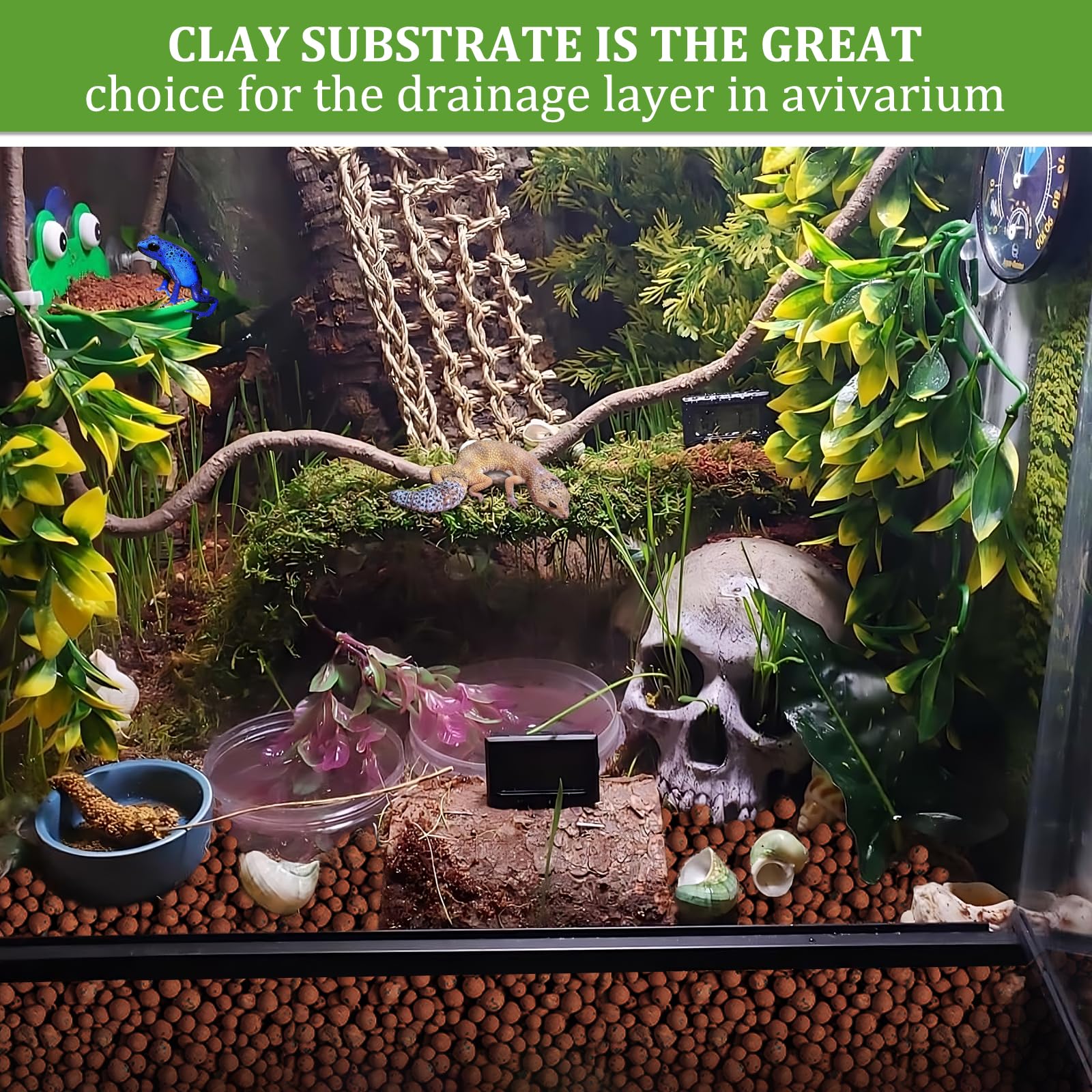 Riare moisture-retention base supports plant roots and terrarium humidity.
