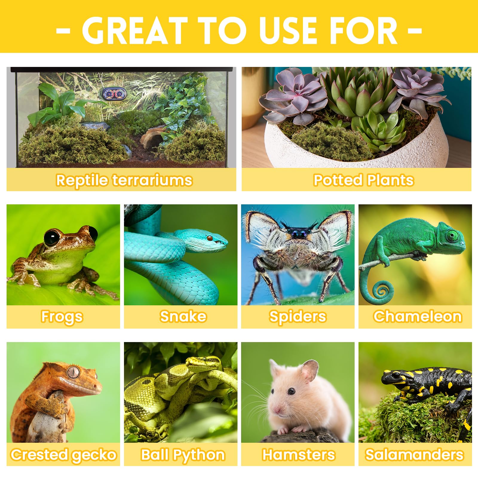 Riare moss bedding for nesting and hibernation in terrariums