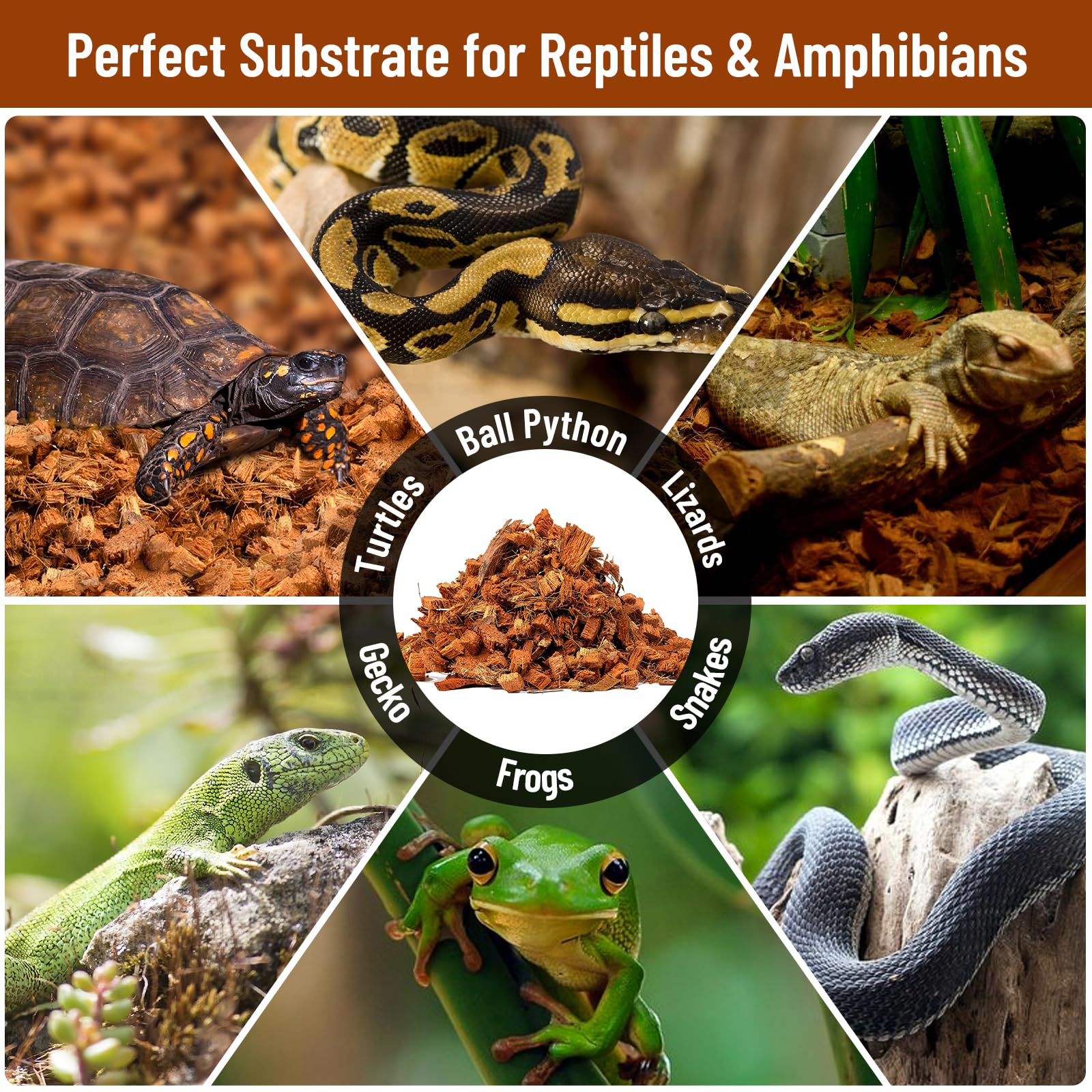 Riare coconut-chip substrate can be reused as garden mulch.