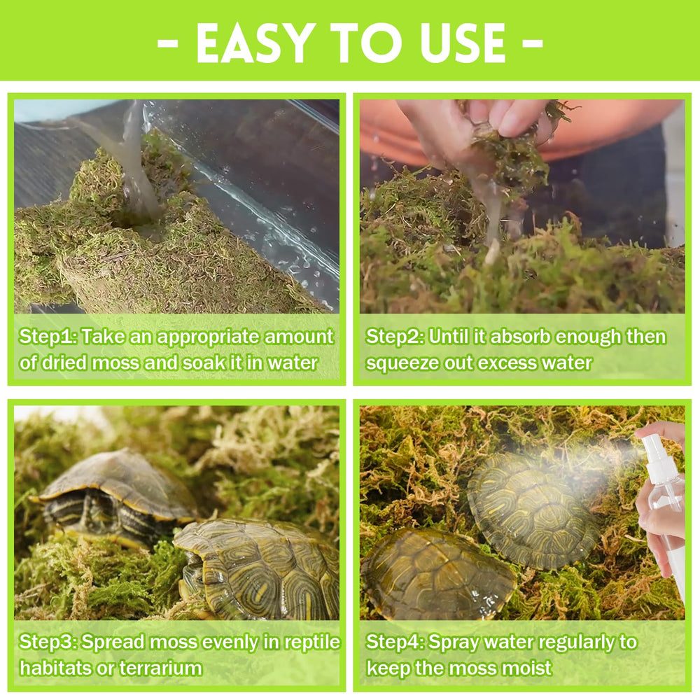 Riare musgo Sphagnum natural favorece anidación y hibernación segura.