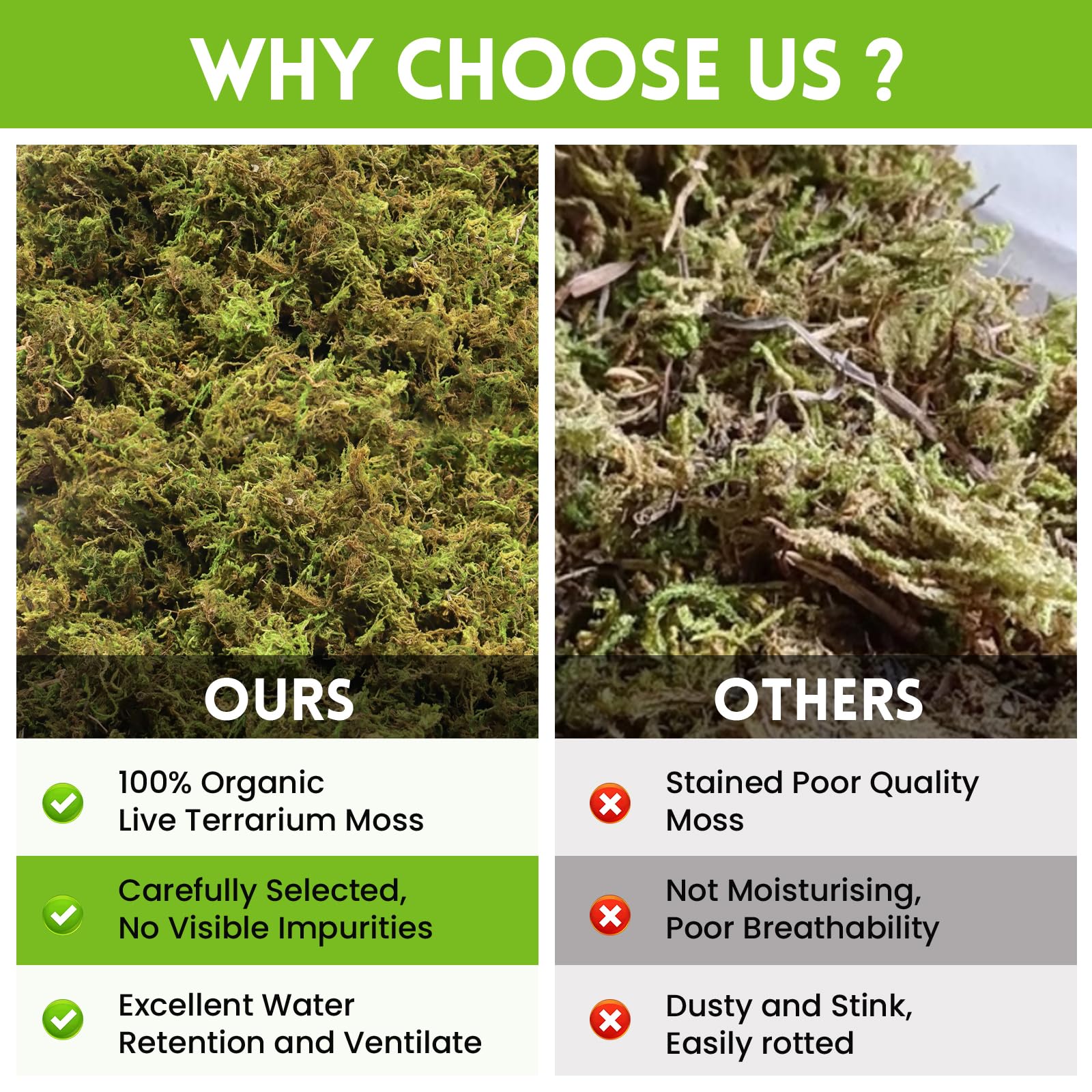 Riare natural green moss for hatching—supports moist microclimates for eggs.