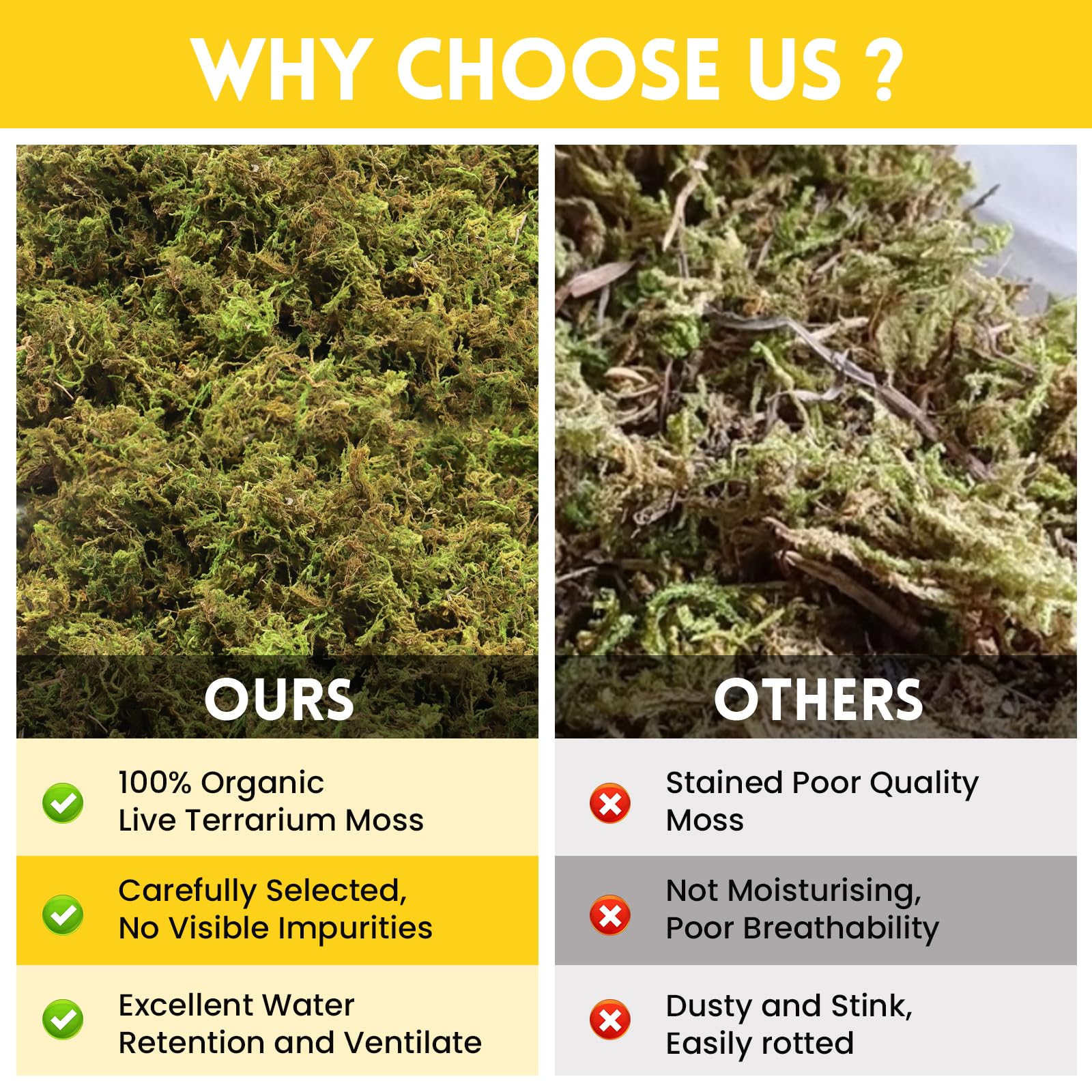 Riare reptile substrate moss suitable for snakes tortoises and lizards