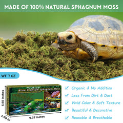 Riare sphagnum moss close-up highlights soft texture ideal for humidity retention.